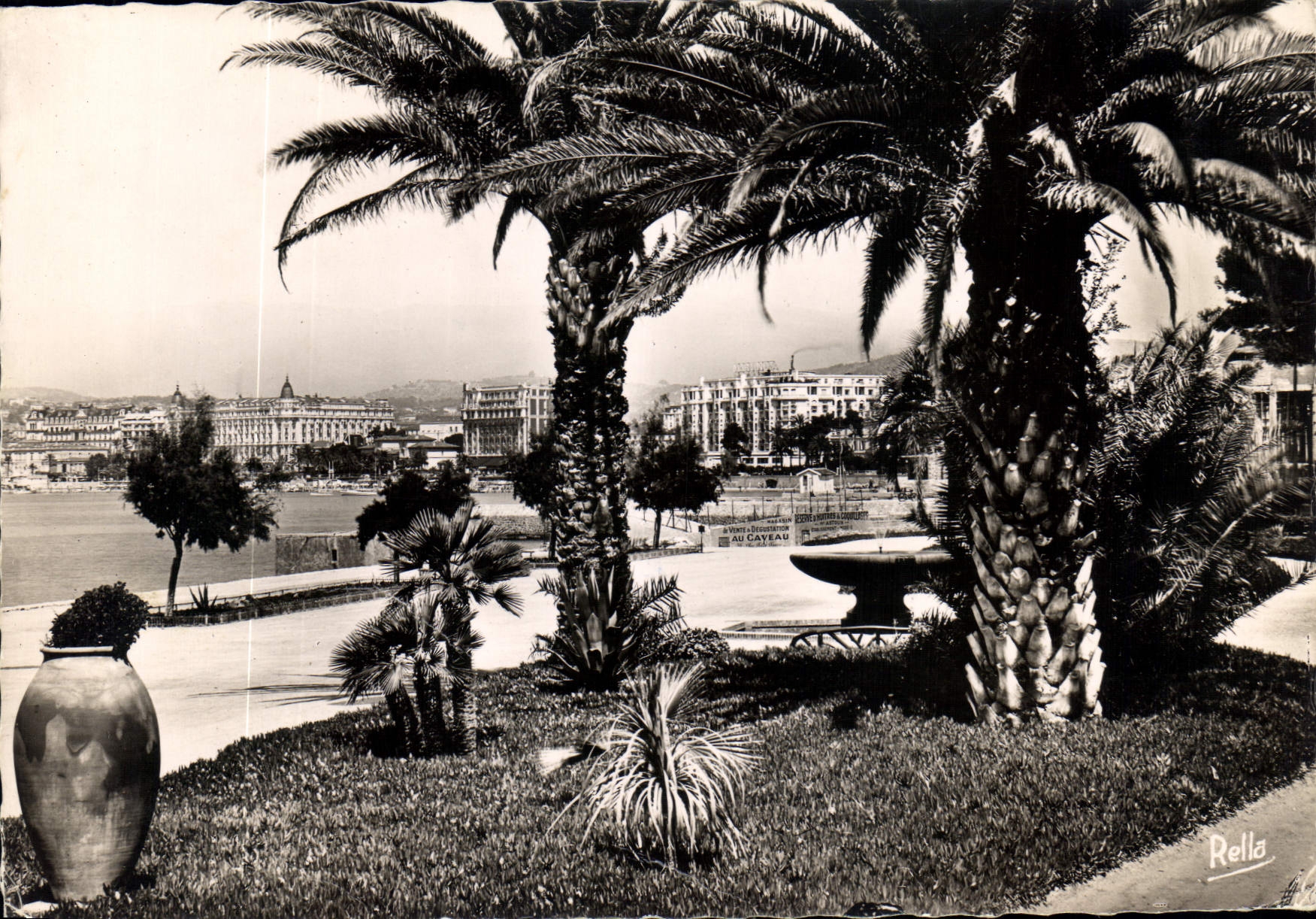 CPM La Cote d'Azur Cannes les Grands Hotels de la Croisette vus du Parc Albert I