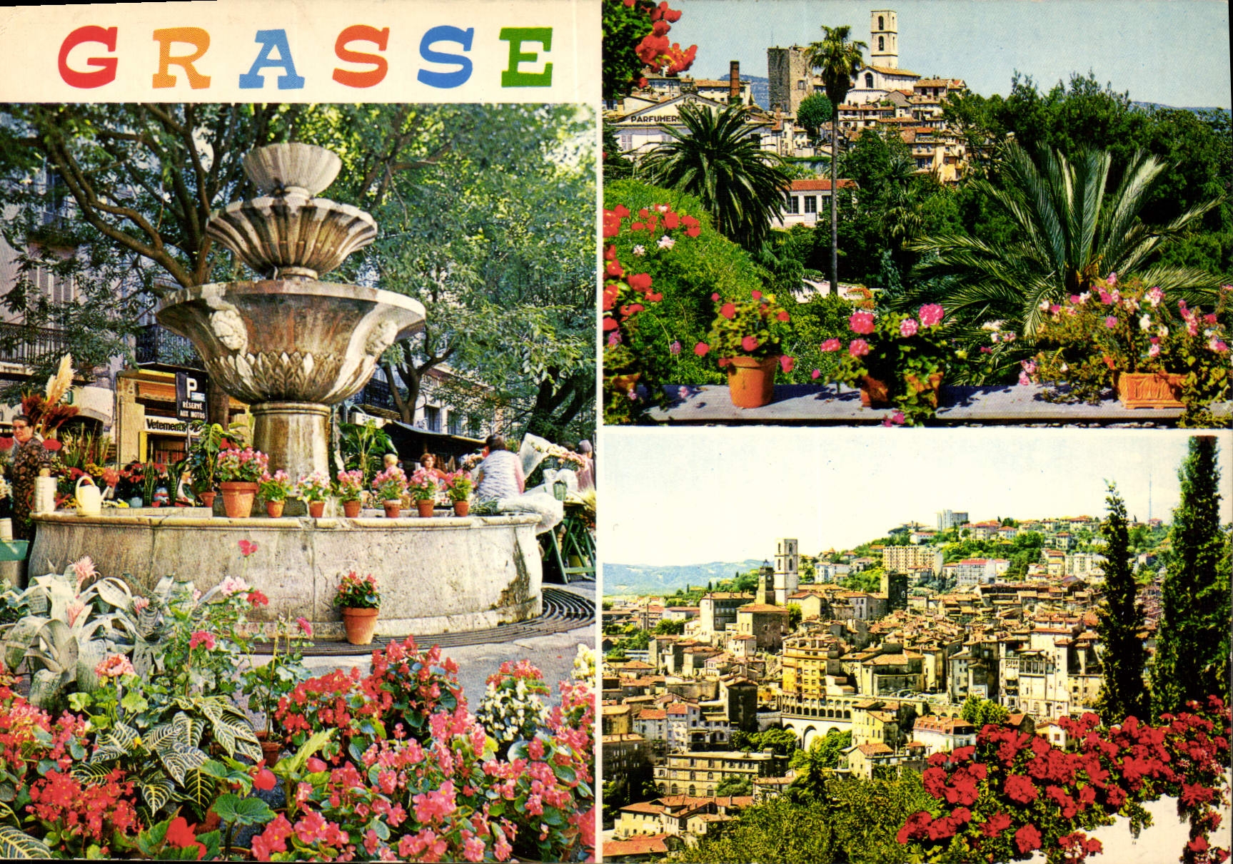 CPM Cote d'Azur Grasse Alpes Maritimes Cite des Fleurs Capitale des parfums 