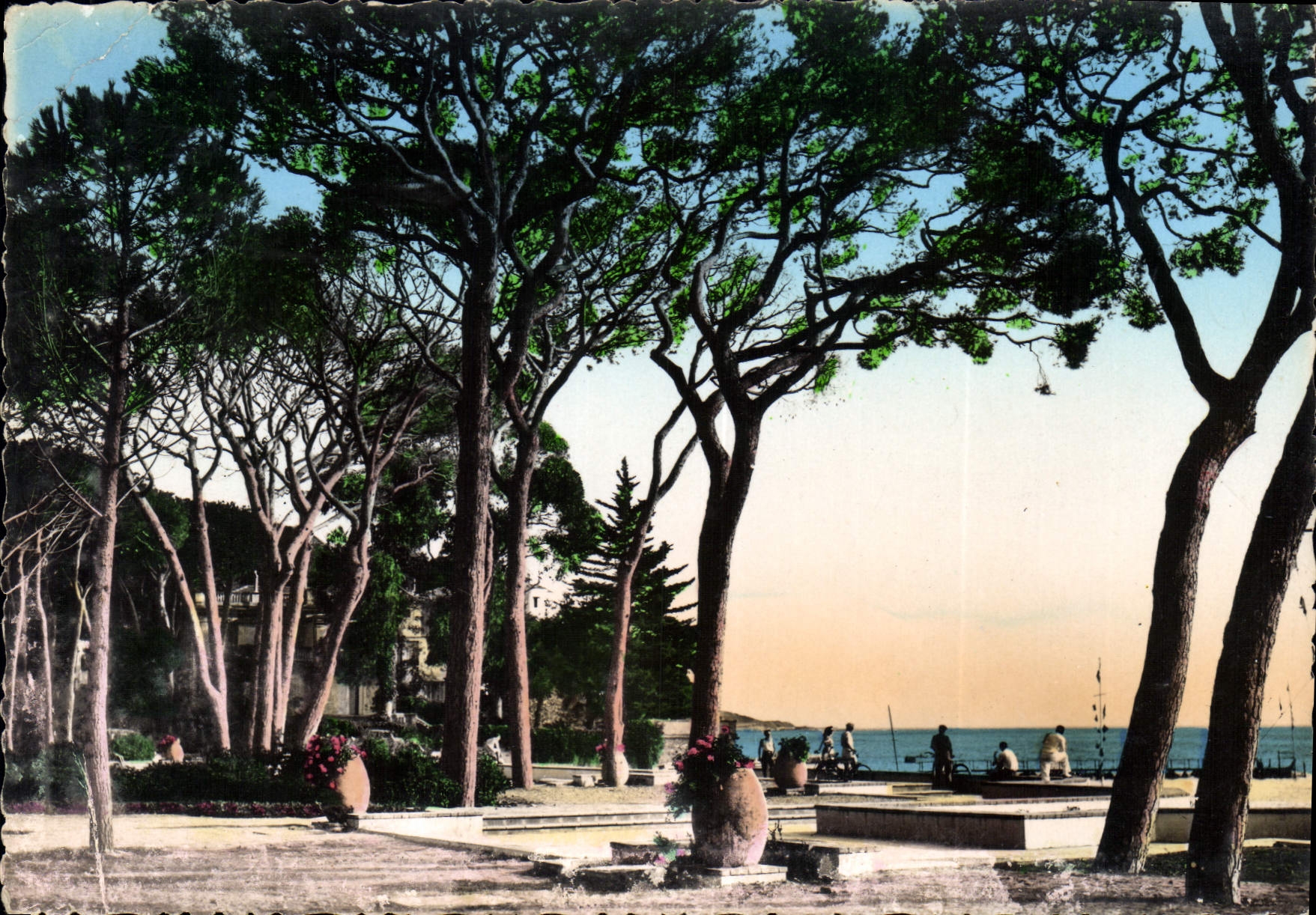 CPM La Cote d'Azur Juan les Pins la Pinede 