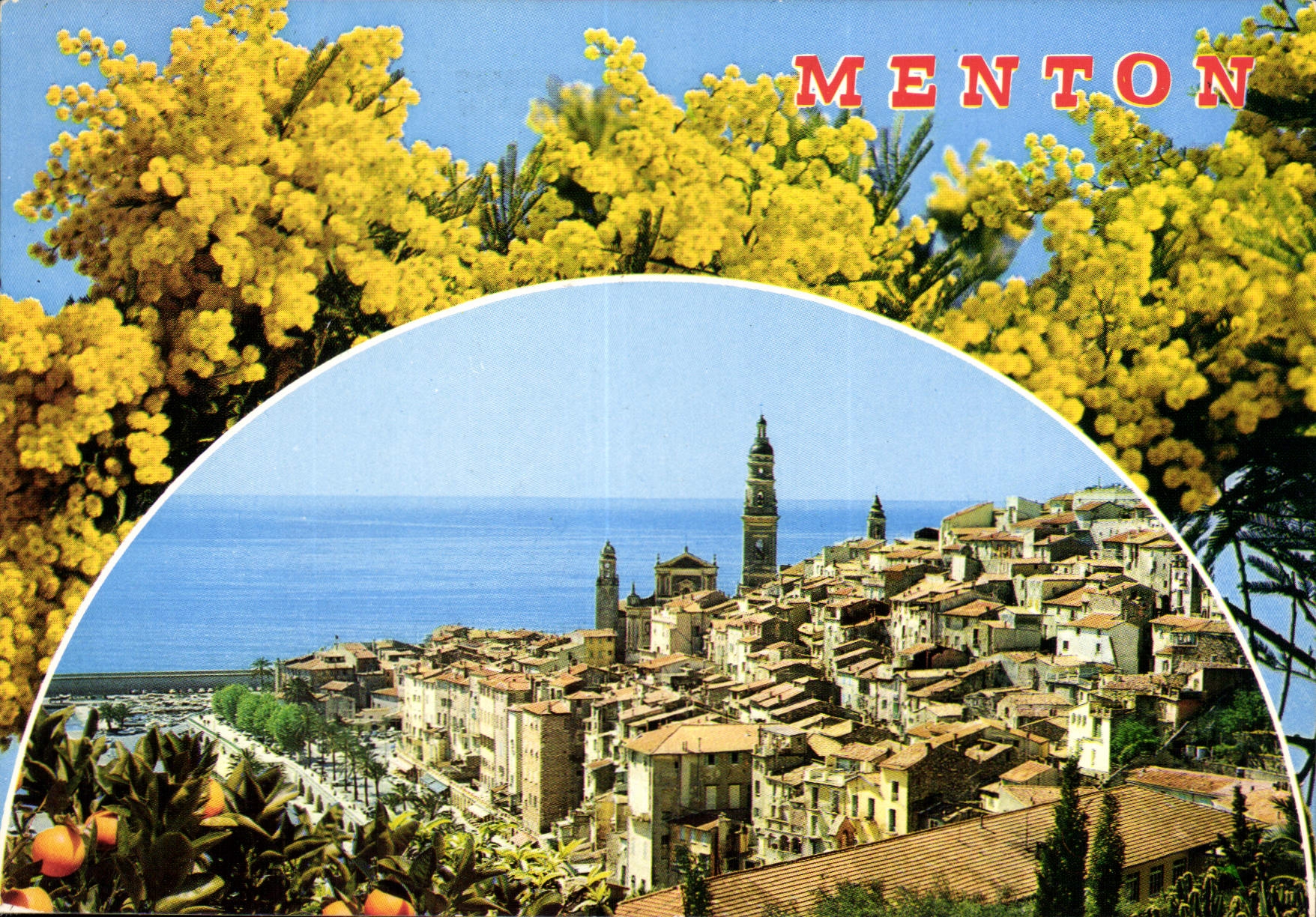 CPM Menton Cote d'Azur la vieille ville 