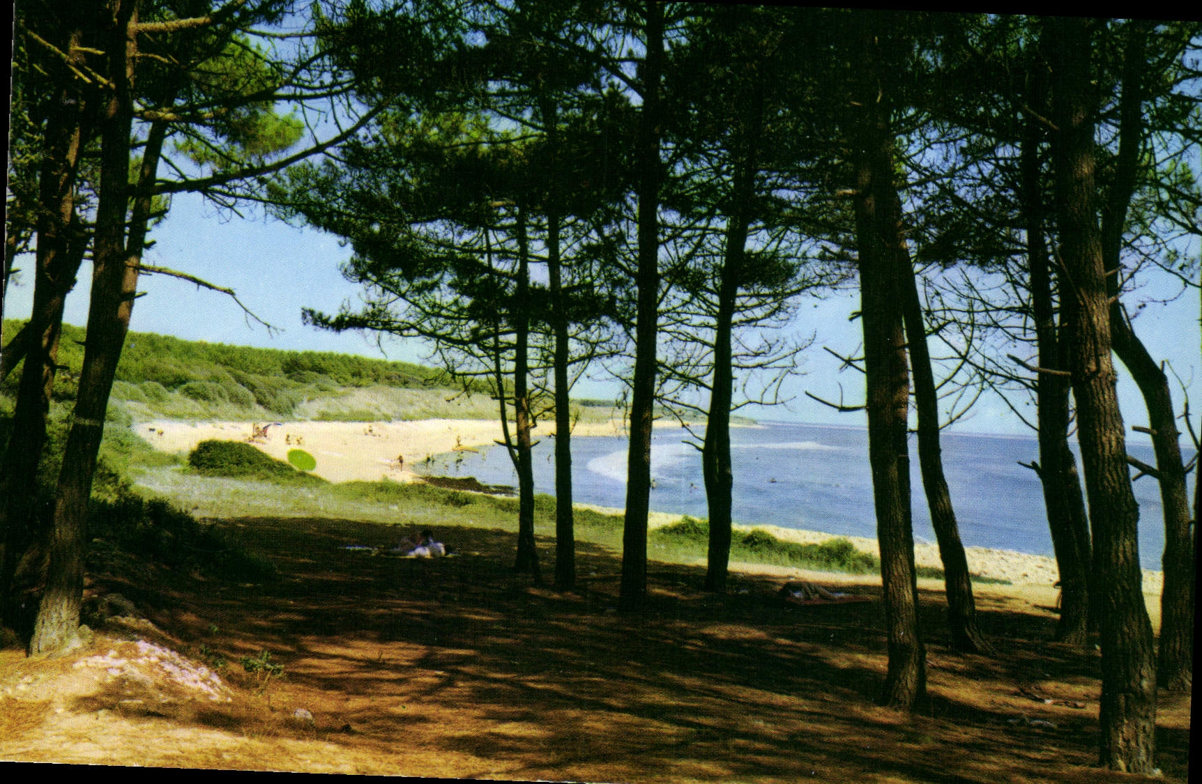 CPM Jard sur Mer Vendee Plage de Ragounitte 