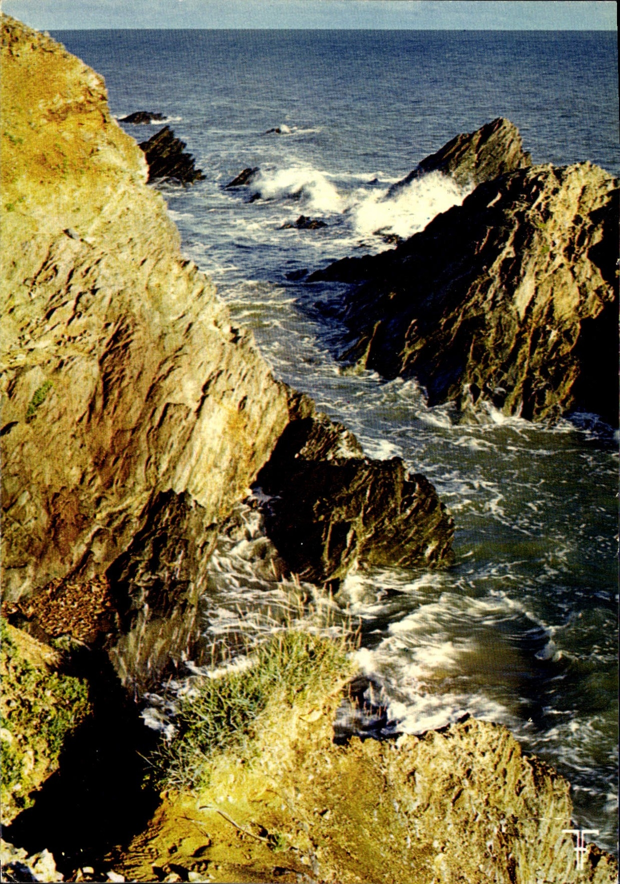 CPM Vendee Jard sur Mer Rochers de Saint Nicolas