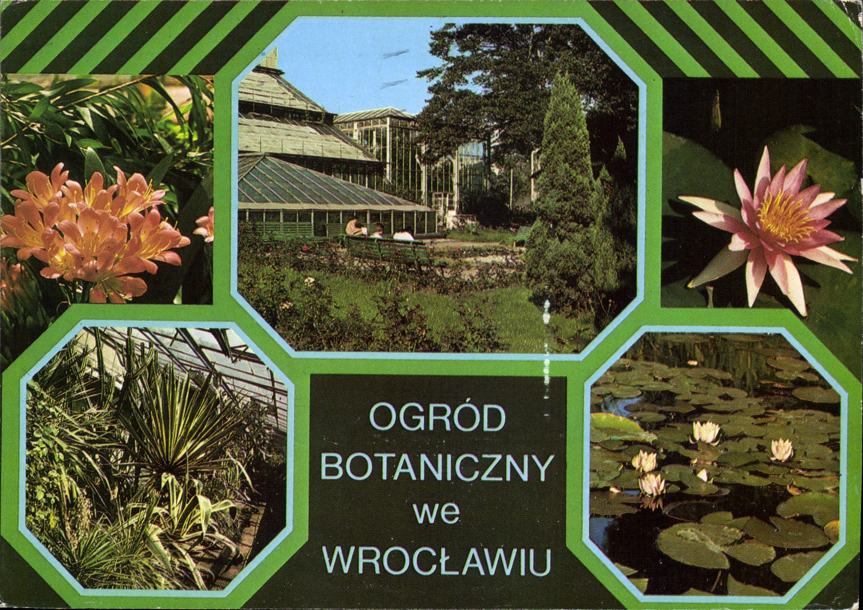 CPM Ogrod Botaniczny we Wroclawiu 