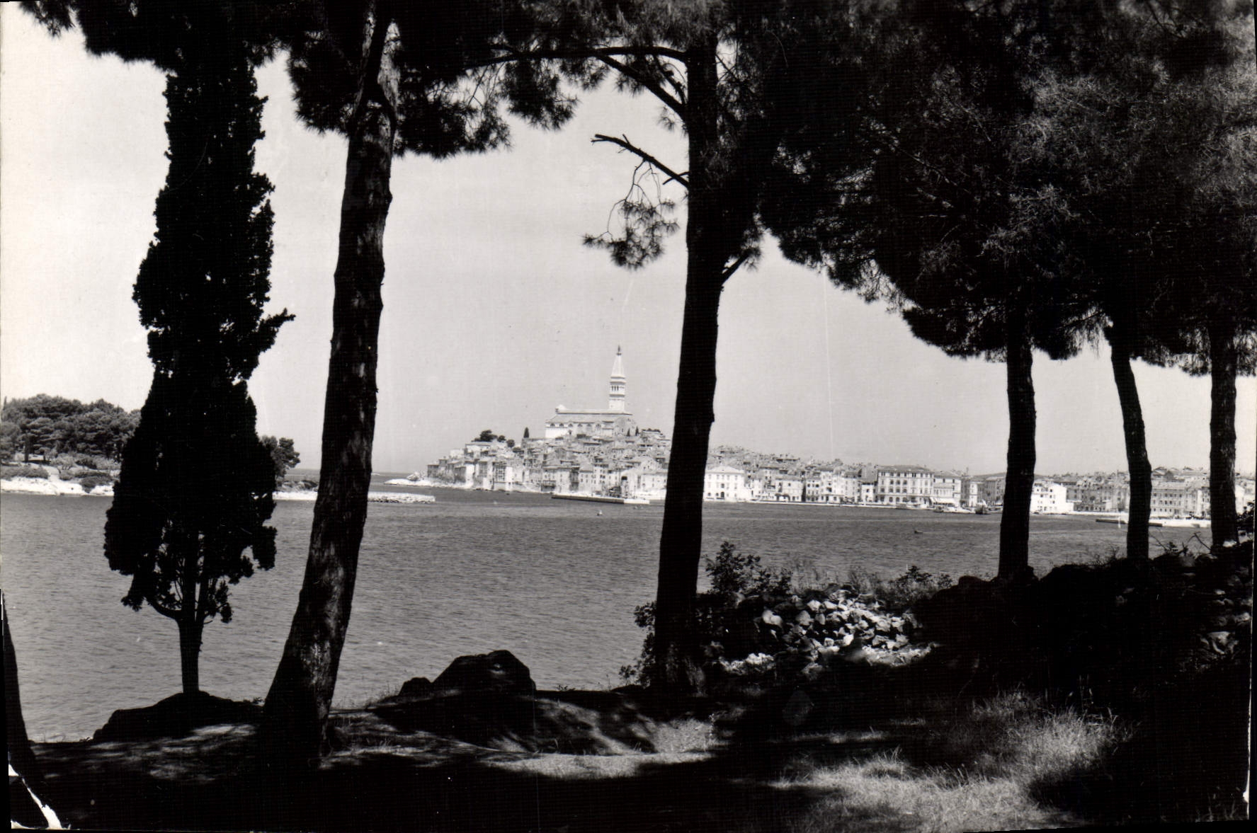 CPM Rovinj 