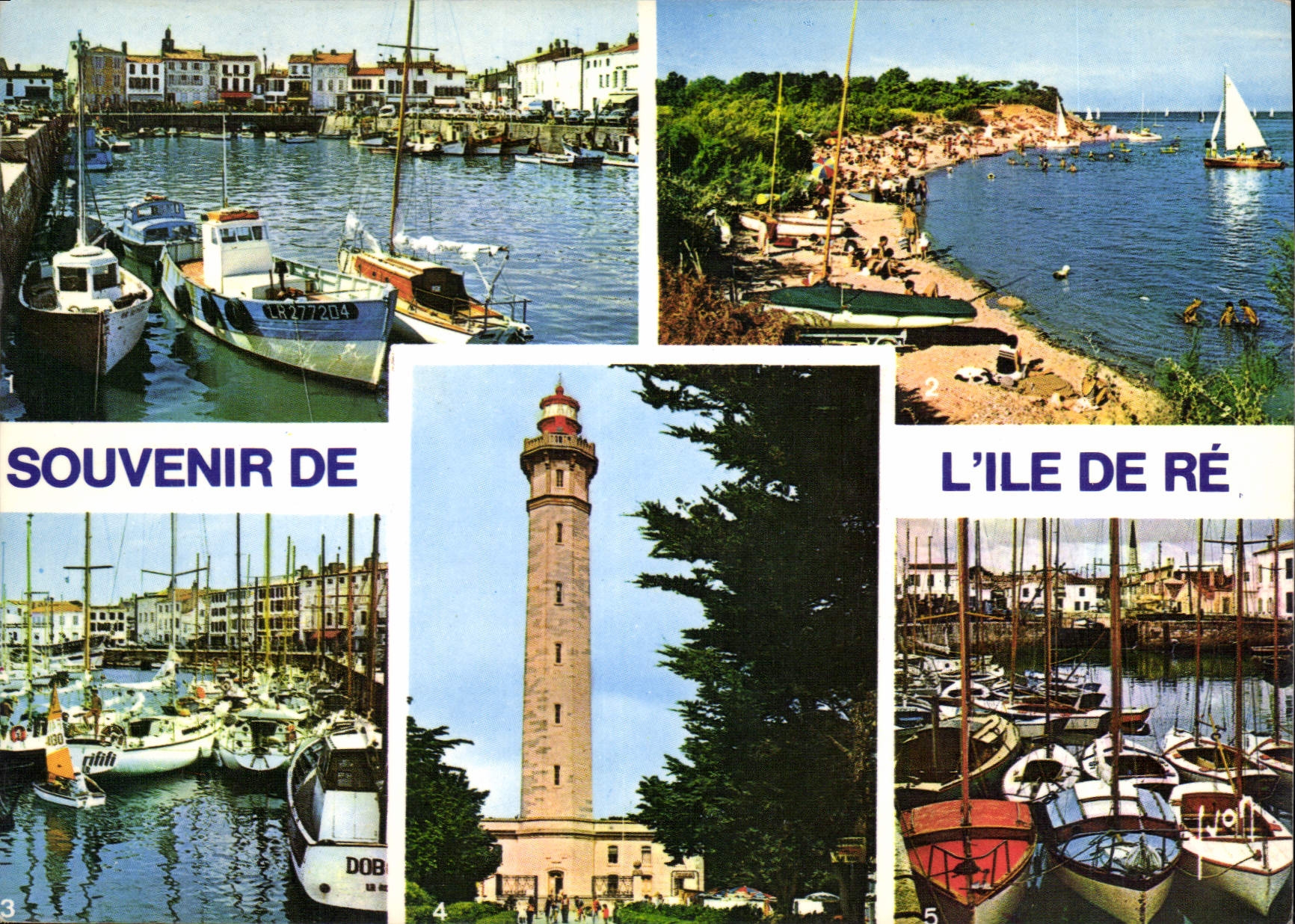 CPM Souvenir de l'Ire de Re 