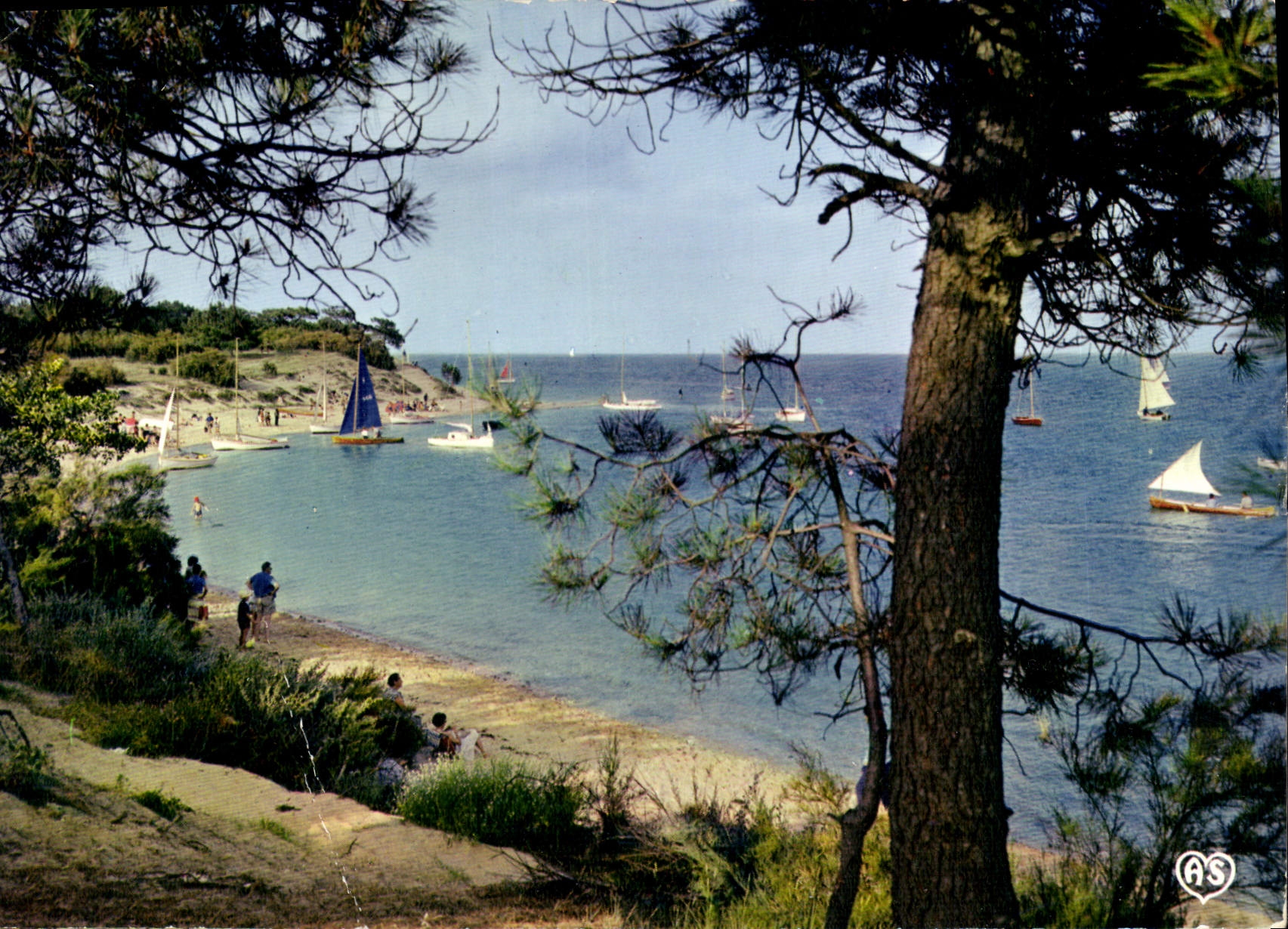 CPM Ile de Re Charente Maritime Les Portes Le Fier Anse de Trousse Chemise