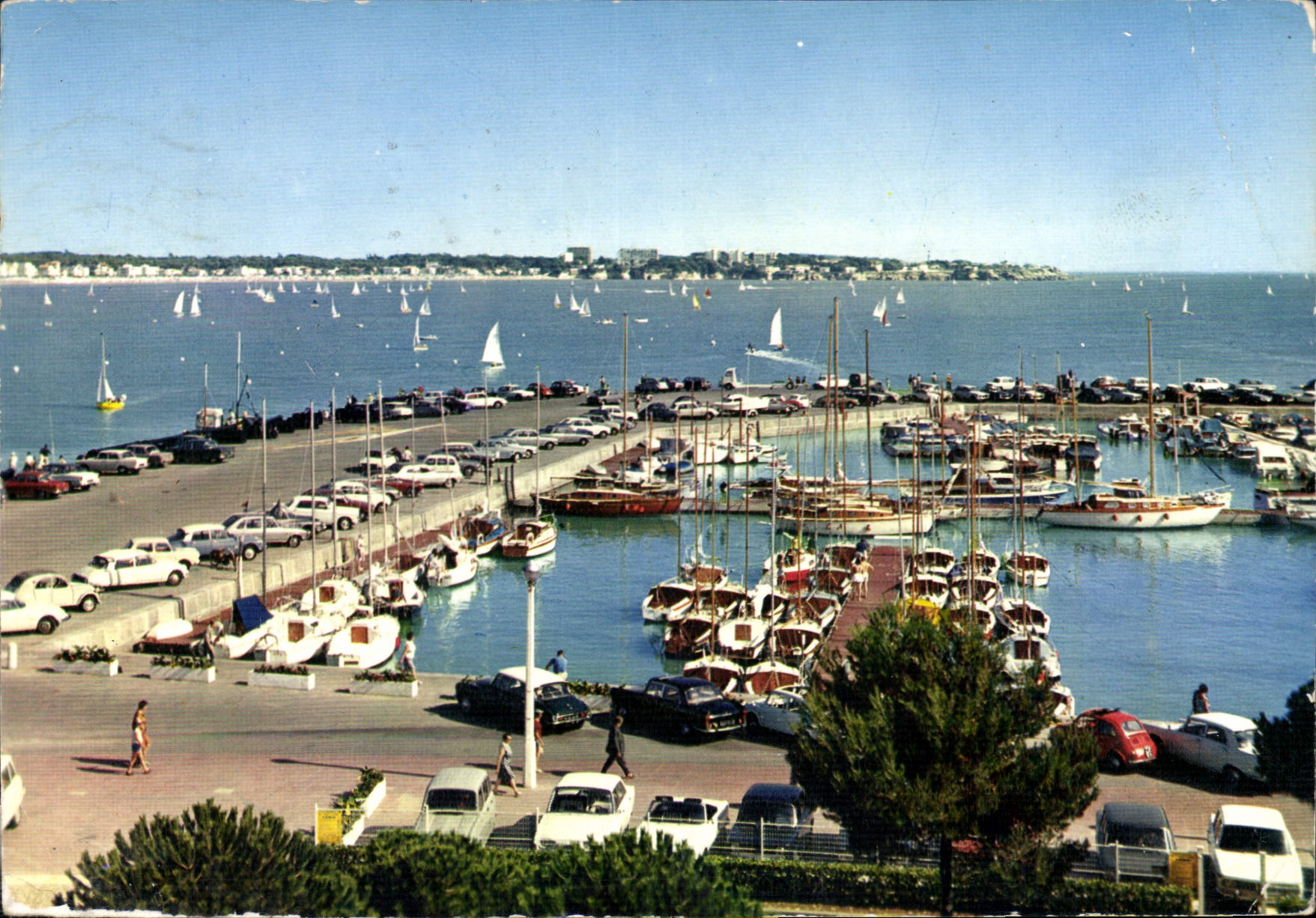 CPM Royan Le Port de plaisance 