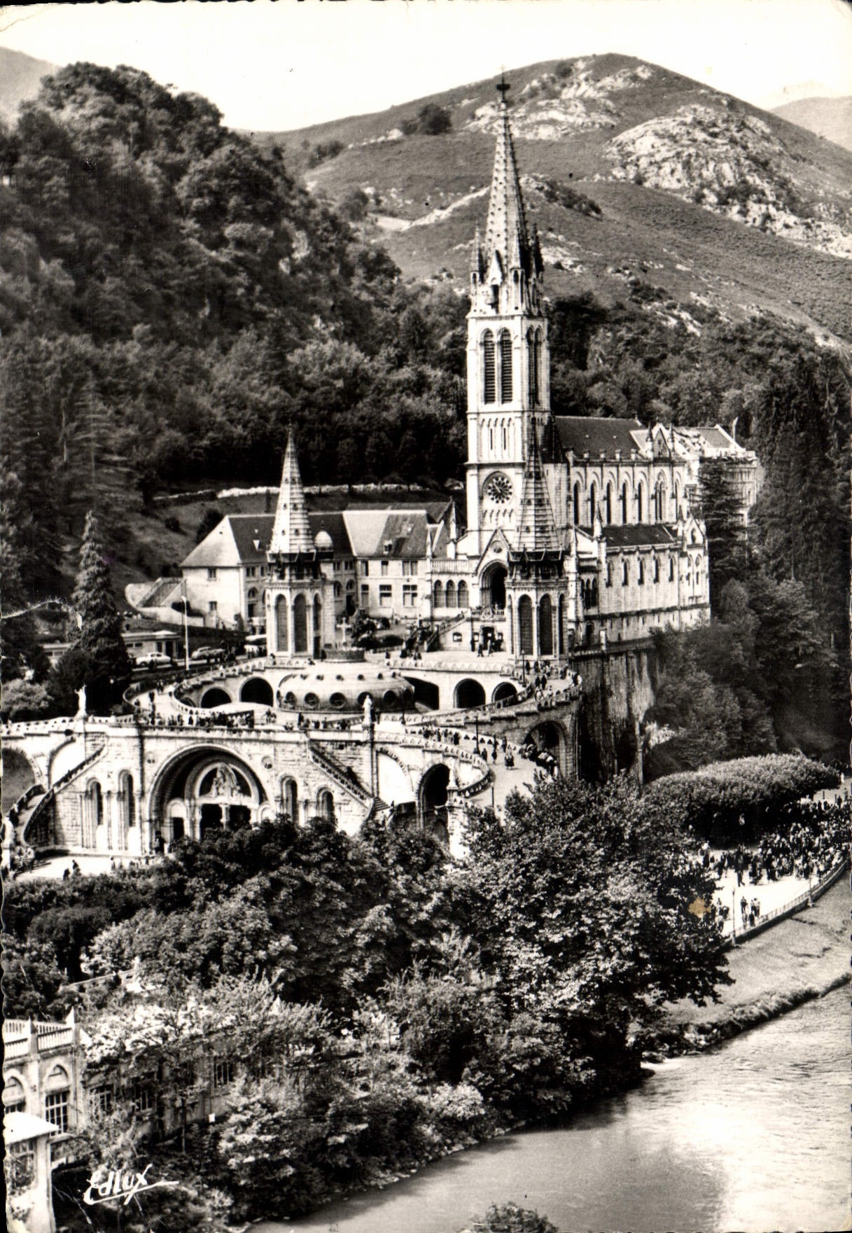 CPM Lourdes La Basilique et le Gave 