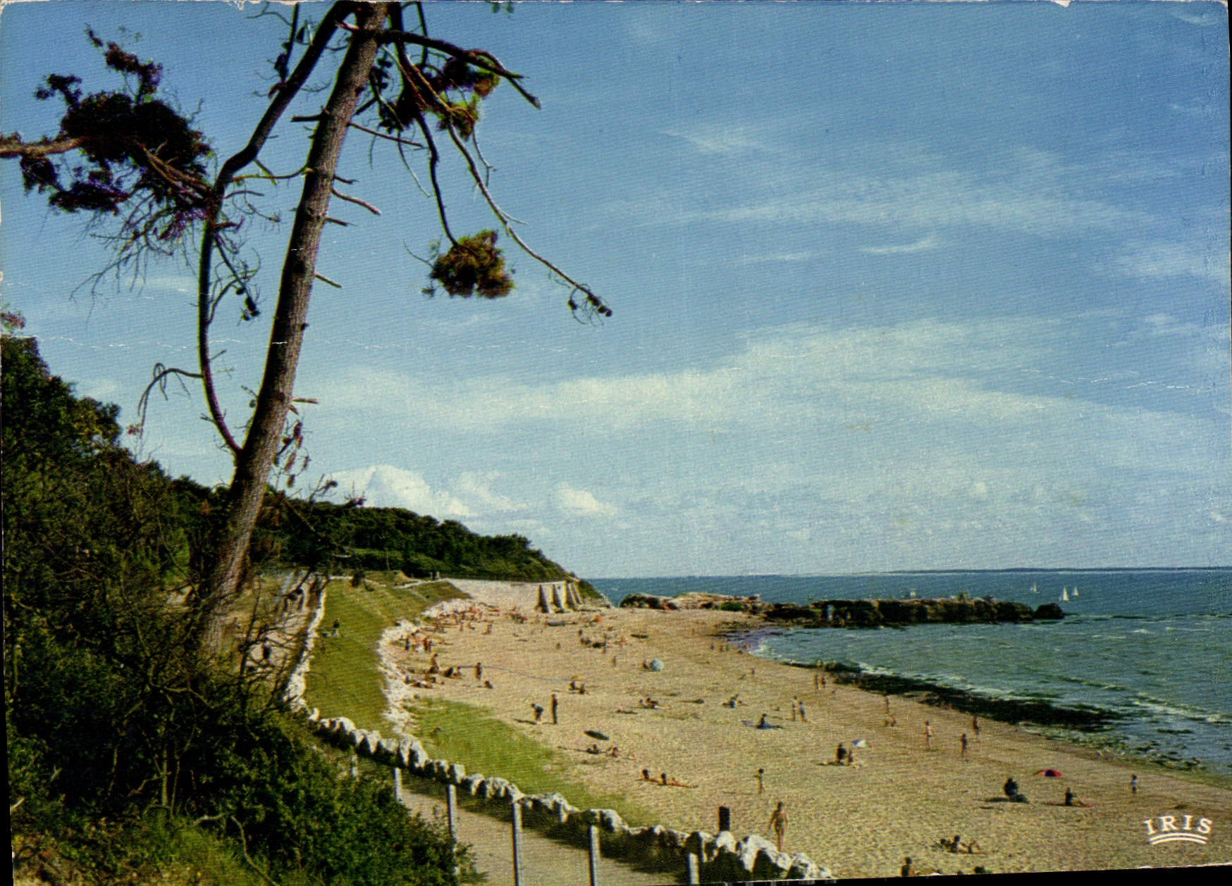 CPM Sur Palais sur Mer Charente Maritime La Plage du Platin 
