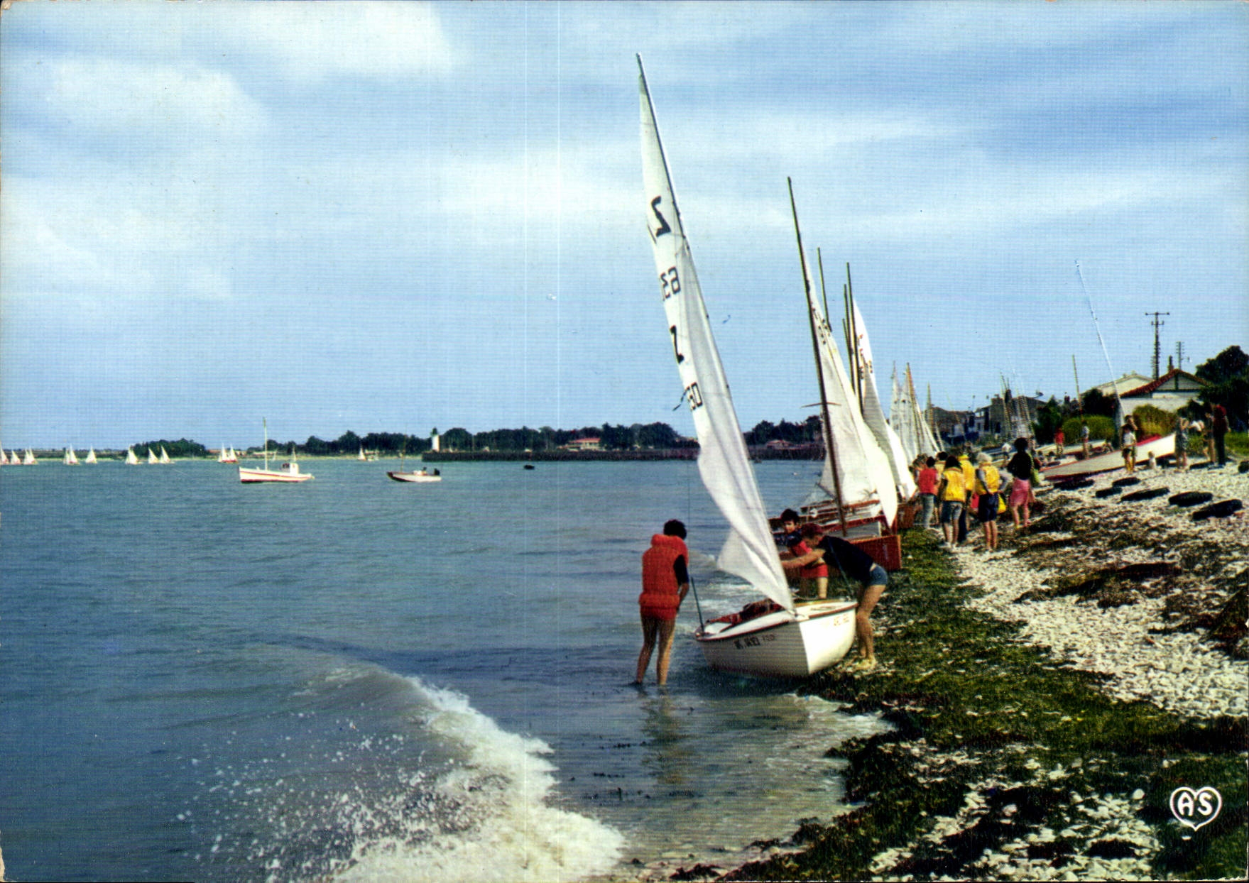 CPM Ile de Re La Flotte Le club de voile se preparant pour les regates Bateaux