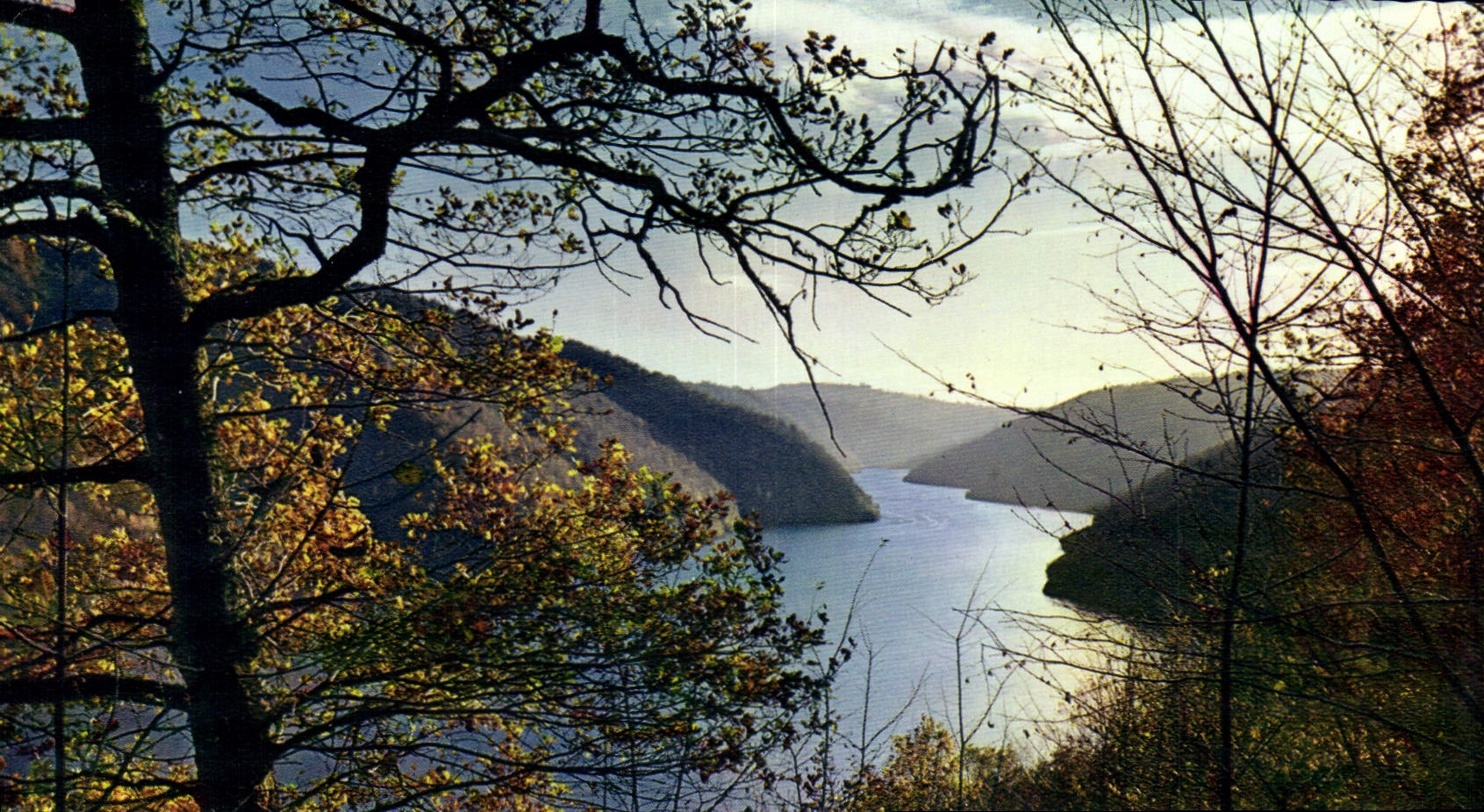CPM Les Gorges de la Dordogne En Automne