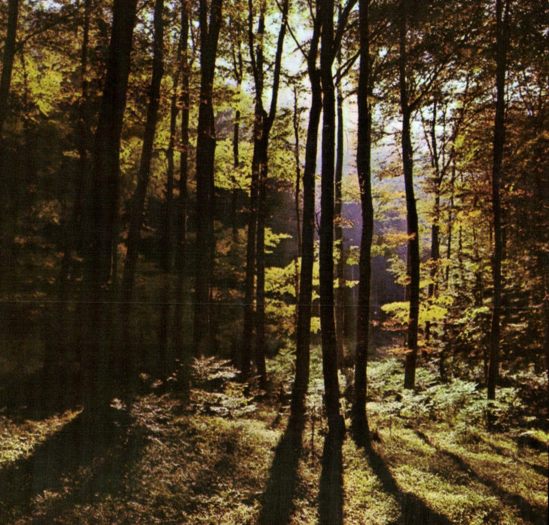 CPM Paysage en Perigord 