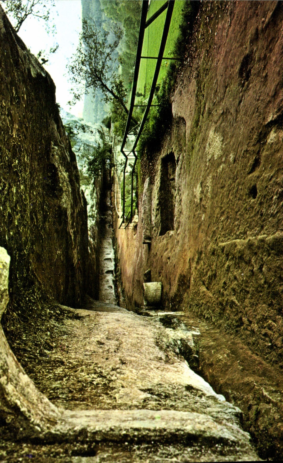 CPM Vallee de la Vezere Peyzac le Moustier Dordogne Station prehistorique