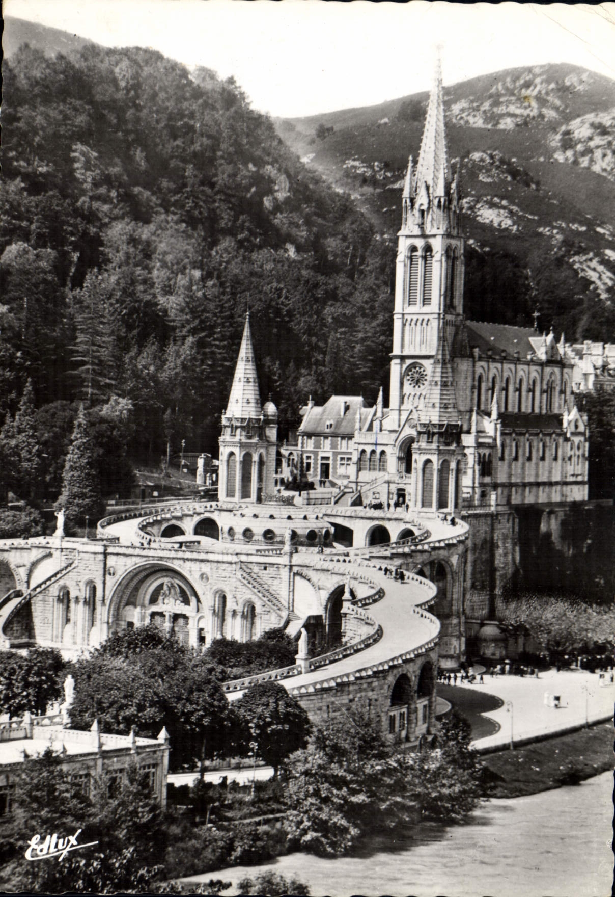 CPM Lourdes La Basilique et le Gave 