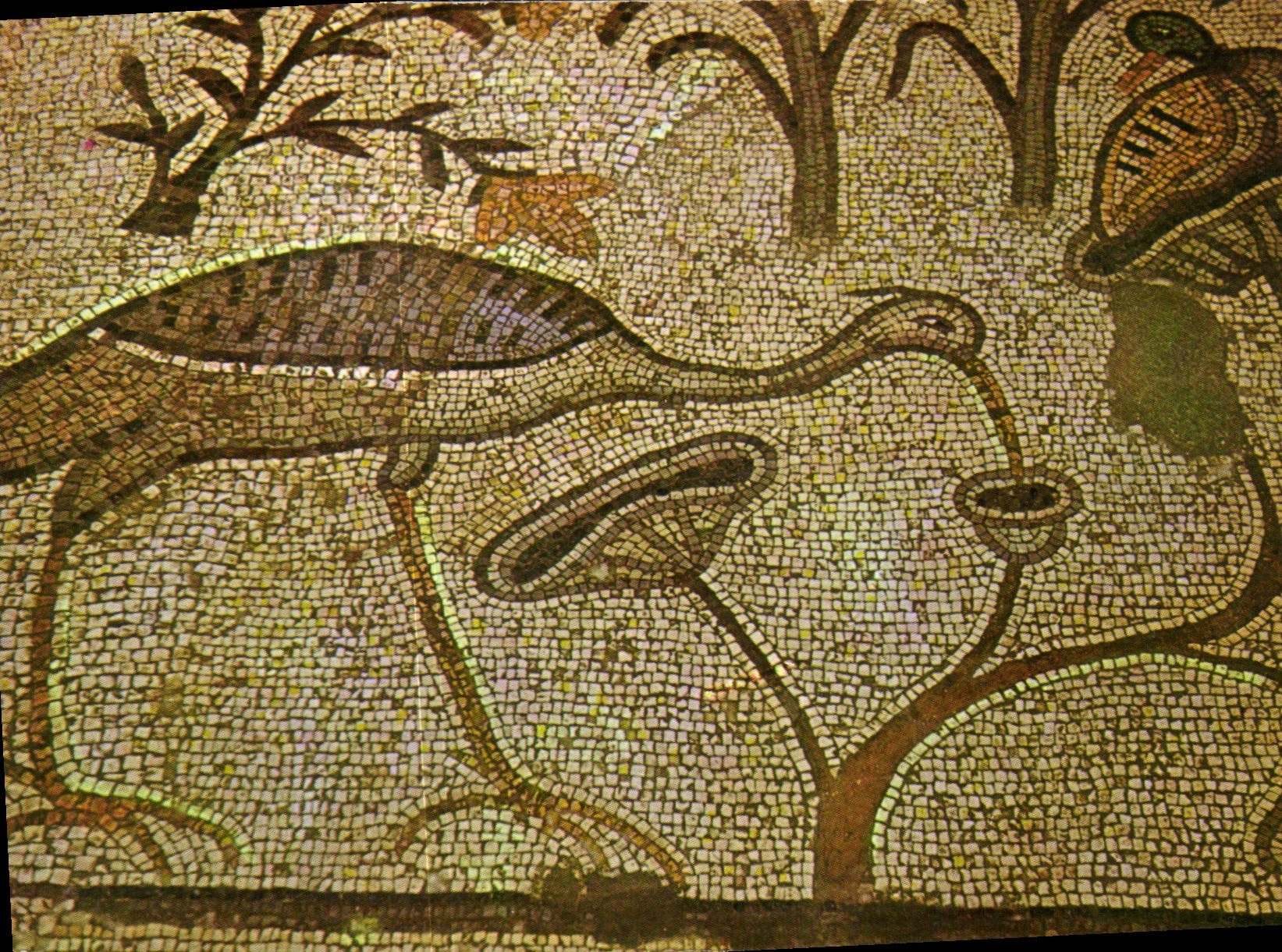 CPM Tabgha Eglise de la Multiplication des Miches de la Pain et des Poissons Mosaiqe Bysantine 