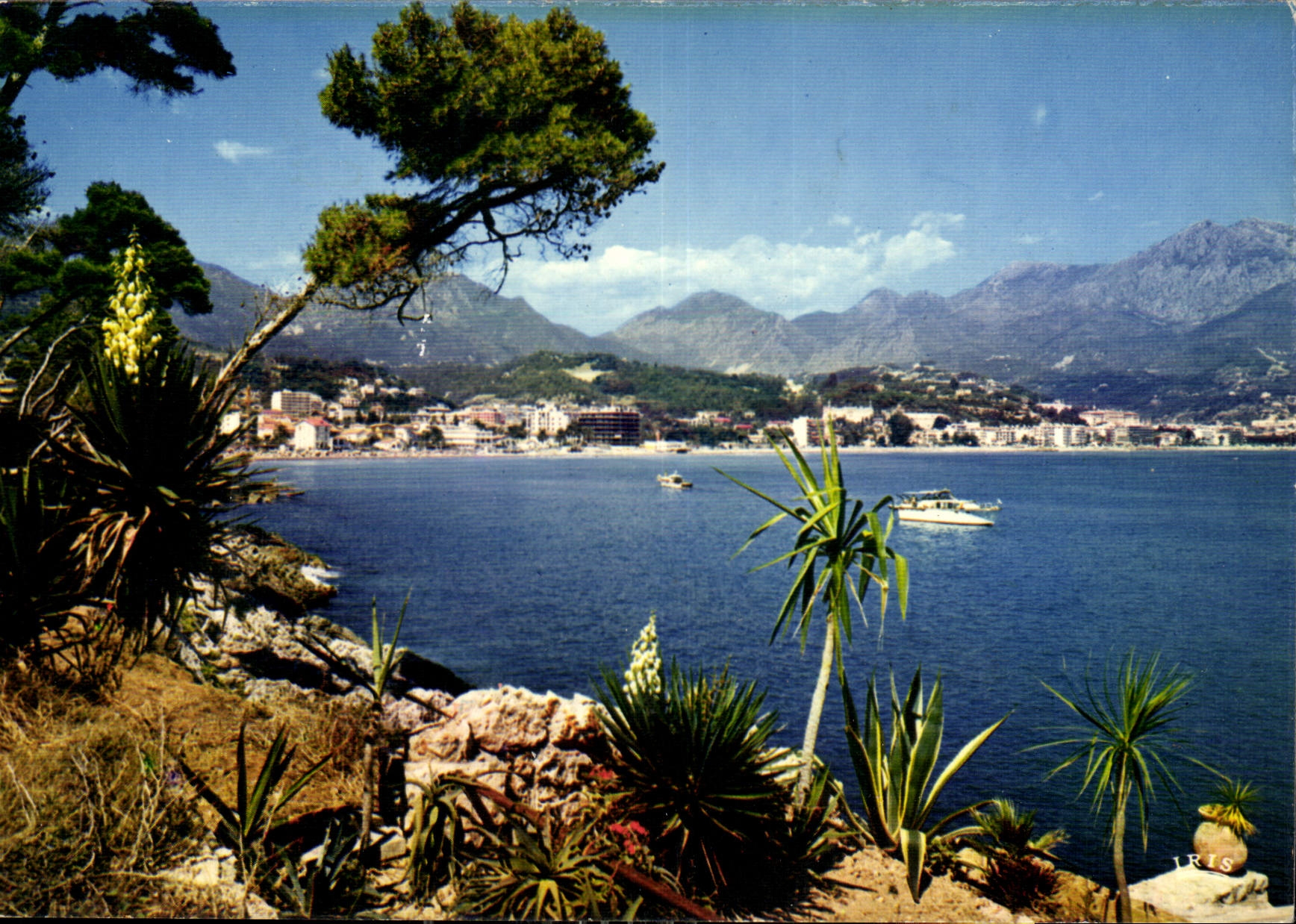 CPM La Cote d'Azur French Riviera Le Cap Martin Au fond Menton Cape Martin