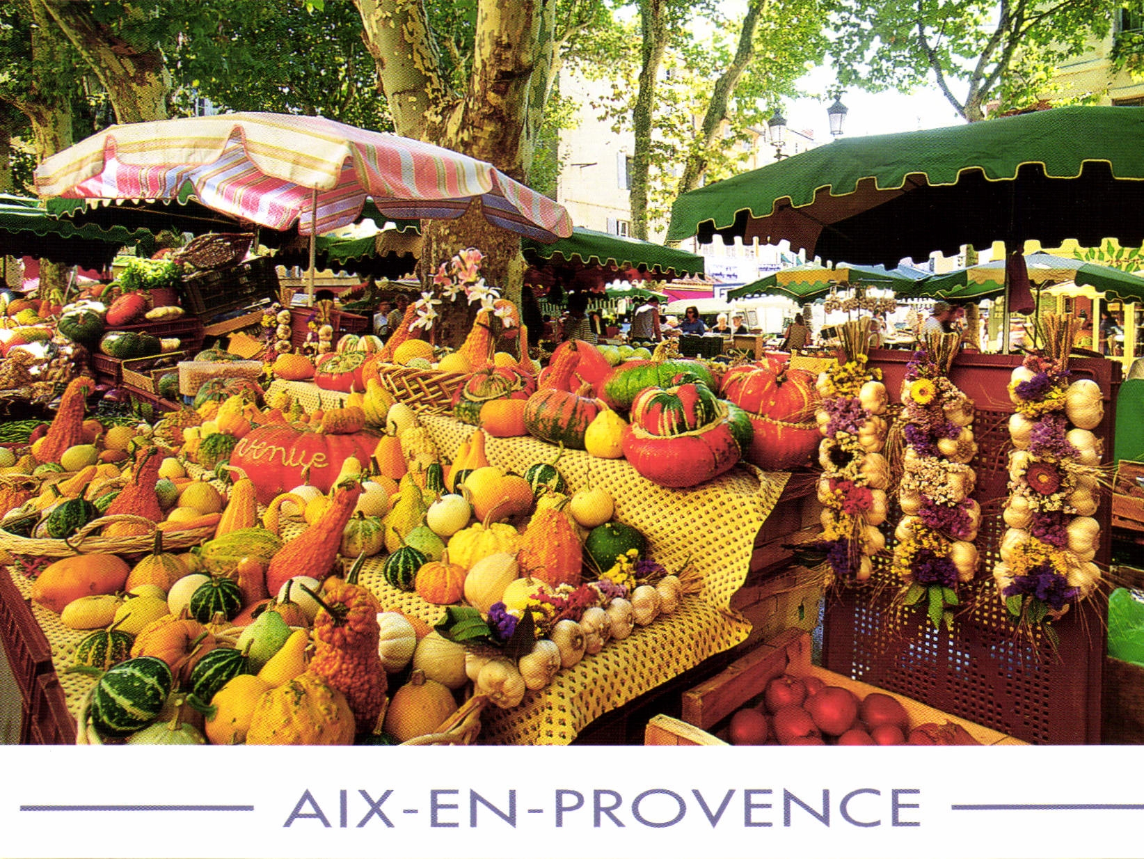 CPM Aix en Provence la place du marche 