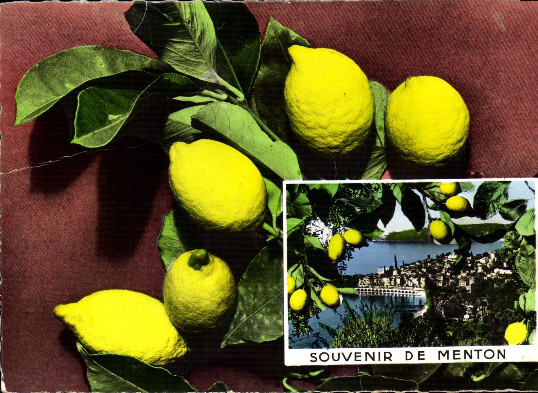 CPM Cote d'Azur Souvenir de Menton 