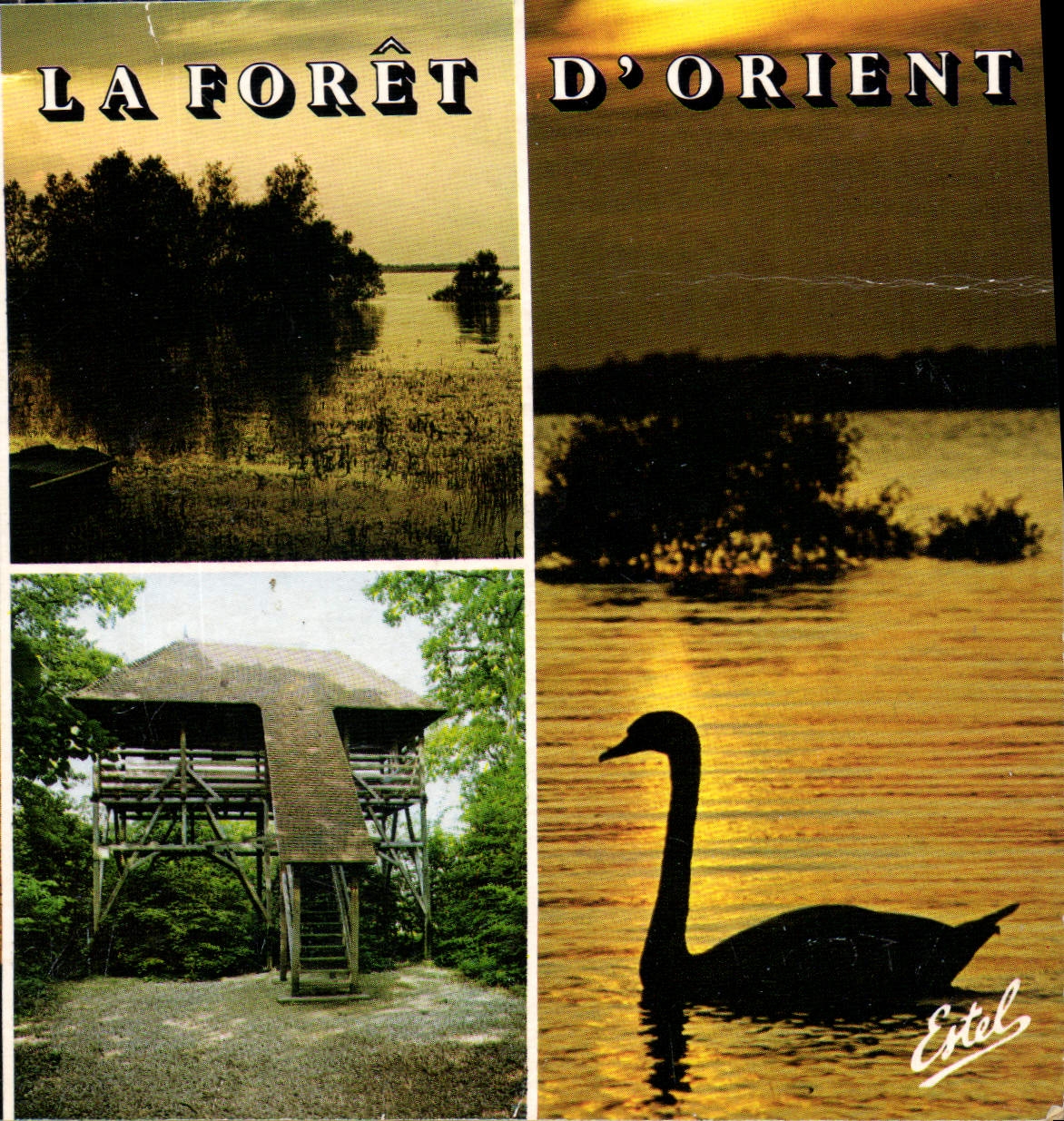 CPM La Foret d'Orient 