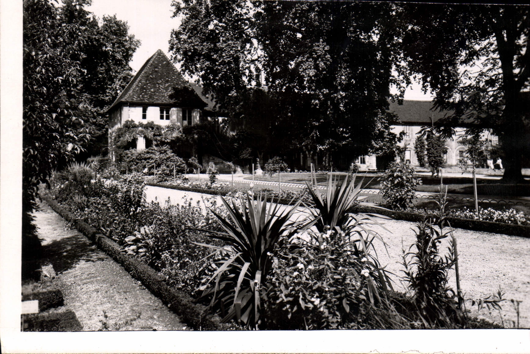 CPM Dijon Cote d'Or Les Jardins de l'Arquebuse 