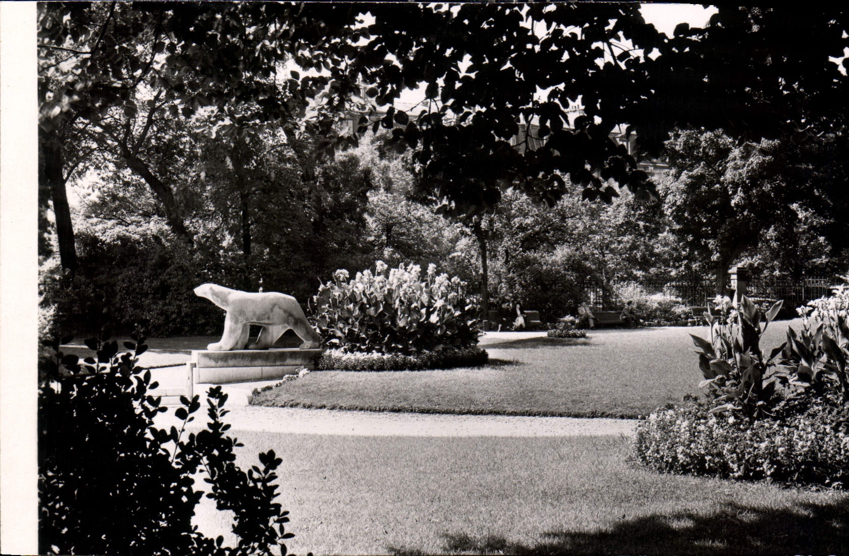 CPM Dijon Cote d'Or Jardin Darcy Ours Blanc