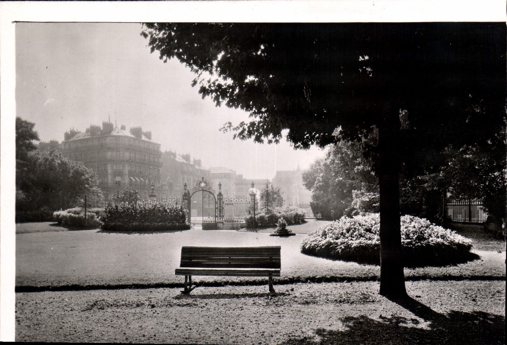 CPM Dijon Cote d'Or Promenade Darcy 
