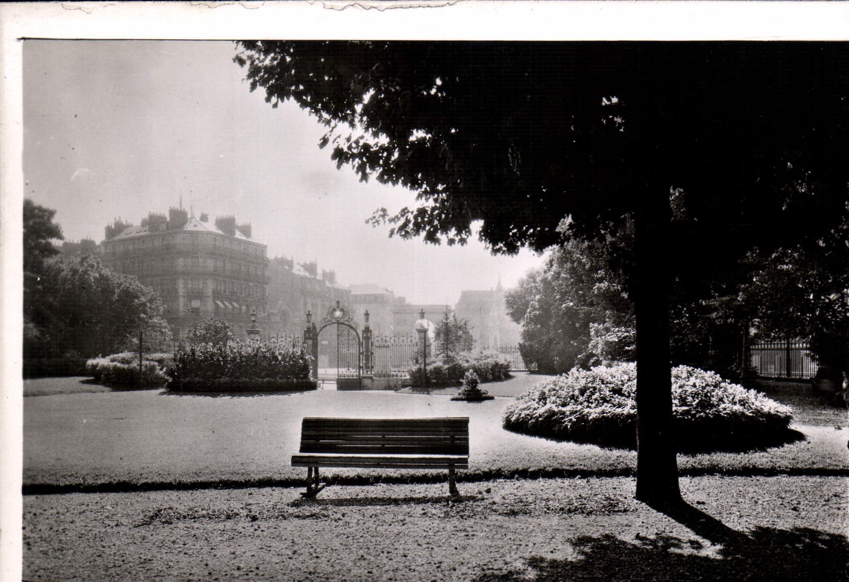 CPM Dijon Cote d'Or Promenade Darcy 