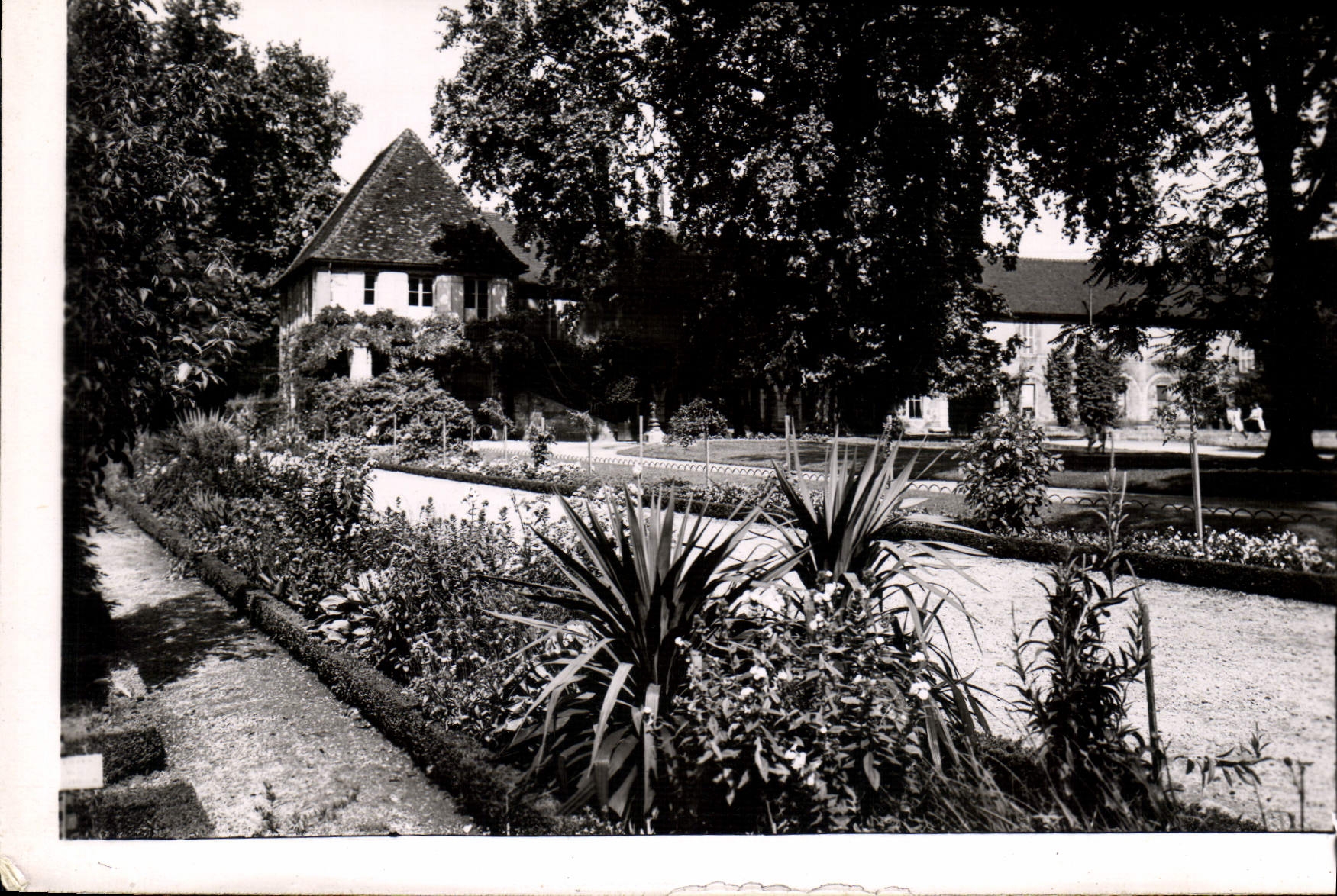 CPM Dijon Cote d'Or Les Jardins de l'Arquebuse