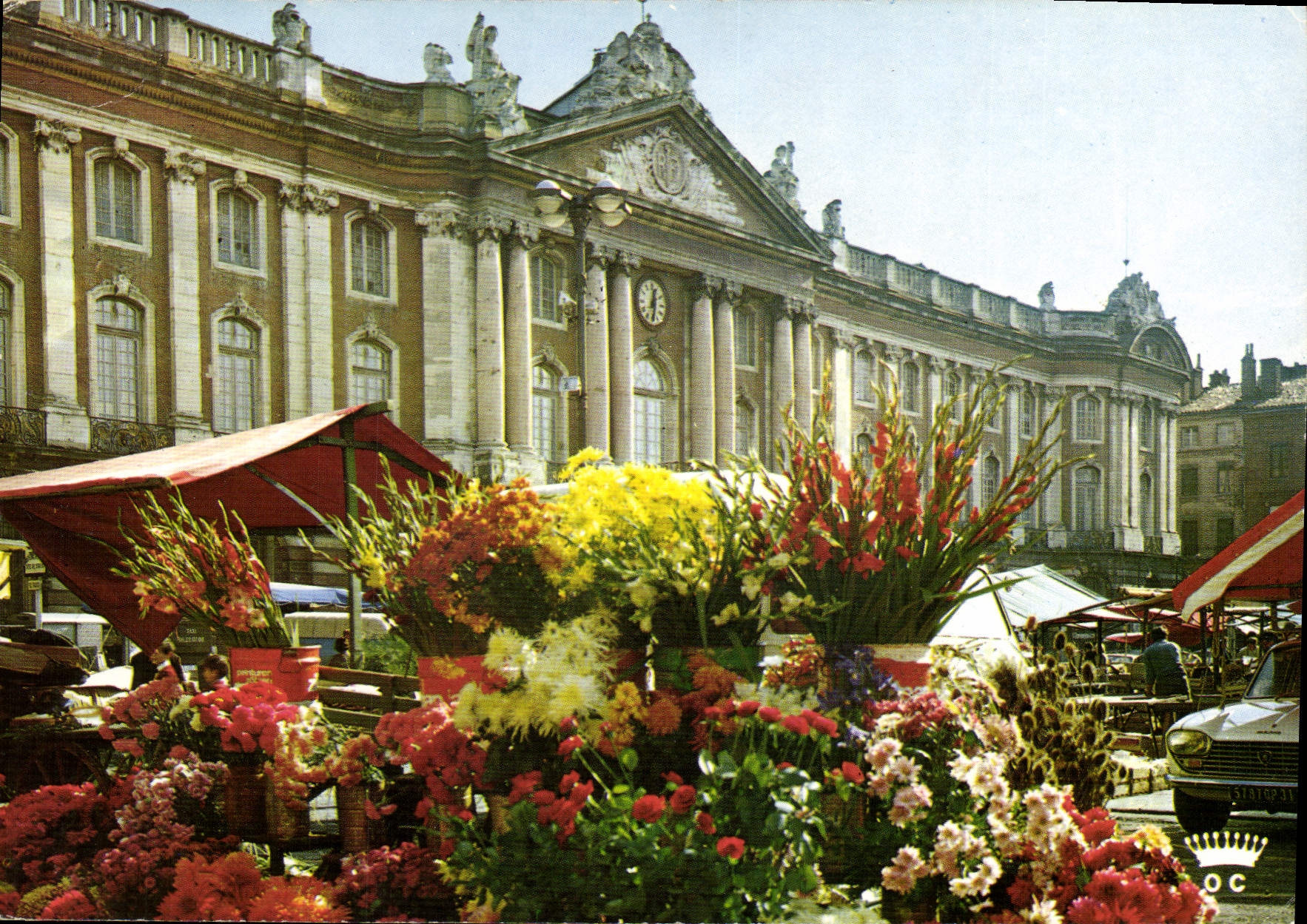 CPM Toulouse La Ville Rose Le Marche aux Fleurs sur la Place du Capitole 