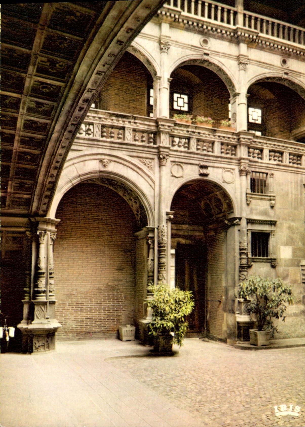 CPM Toulouse Haute Garonne Ville d'Art Cite des Violettes 