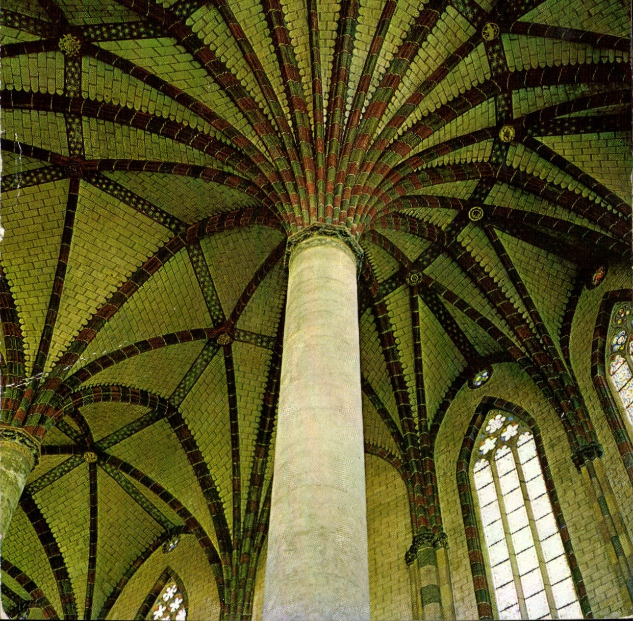 CPM Toulouse Le Palmier des Jacobins 