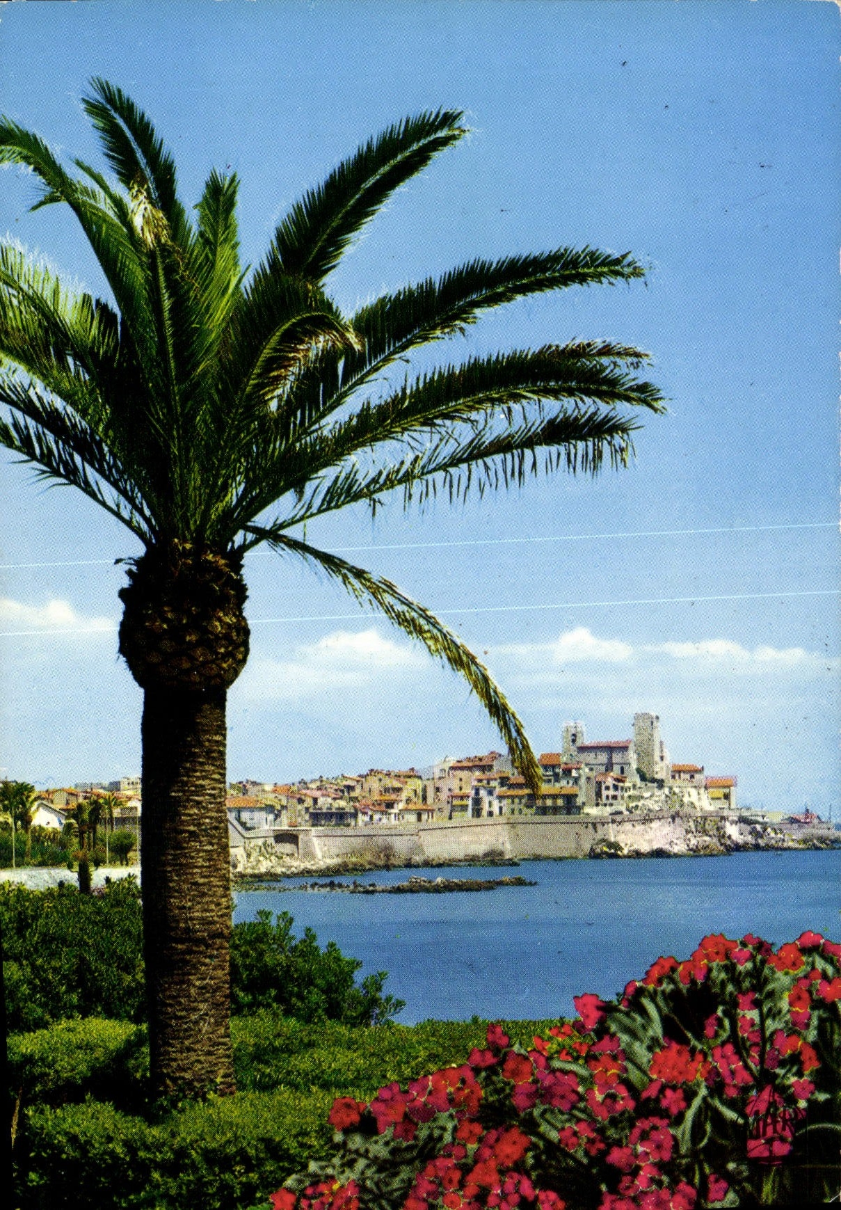 CPM La Cote d'Azur Antibes Vue sur les Remparts 