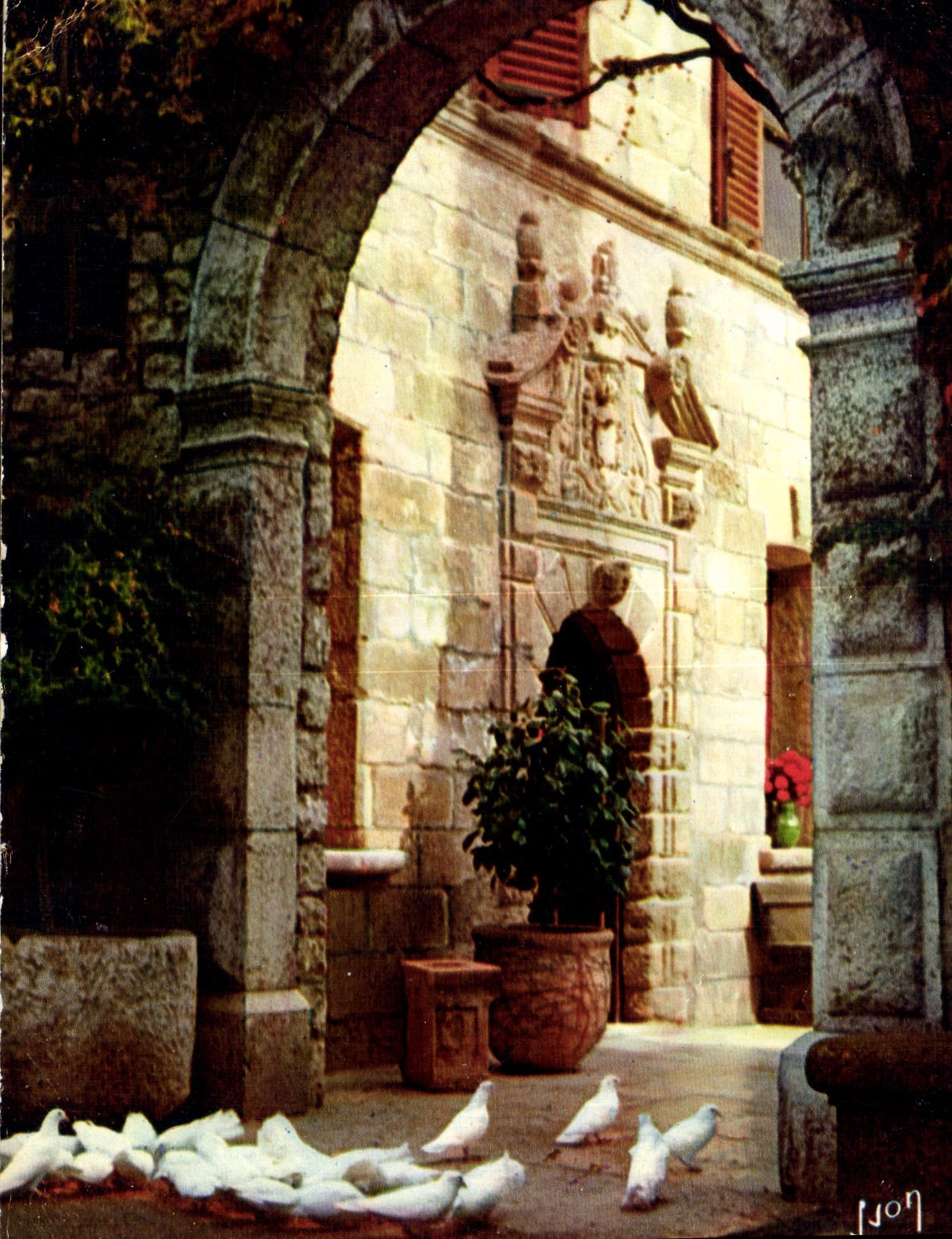 CPM La Cote d'Azur un miracle de la nature Les Colombes blanches de Saint Paul Alpes Maritimes 