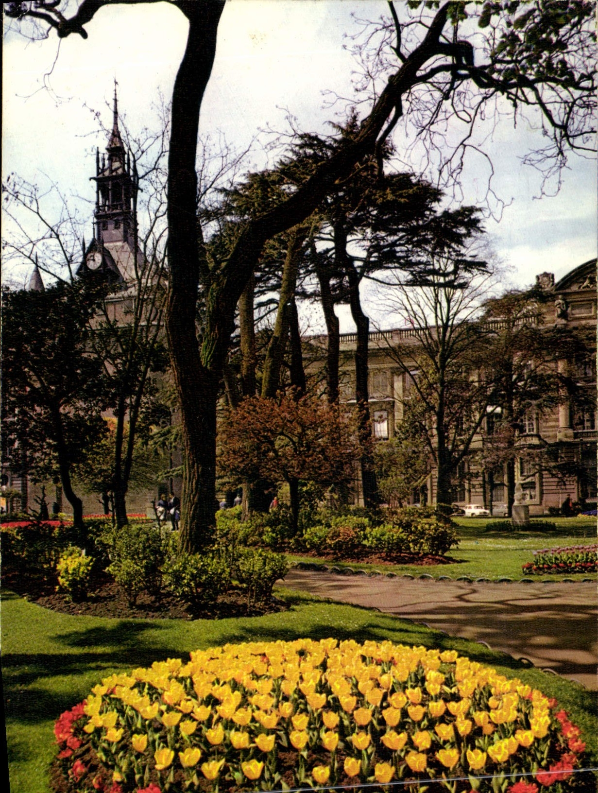 CPM Toulouse Ville d'Art Cite des Violettes Le Donjon du Capitole 