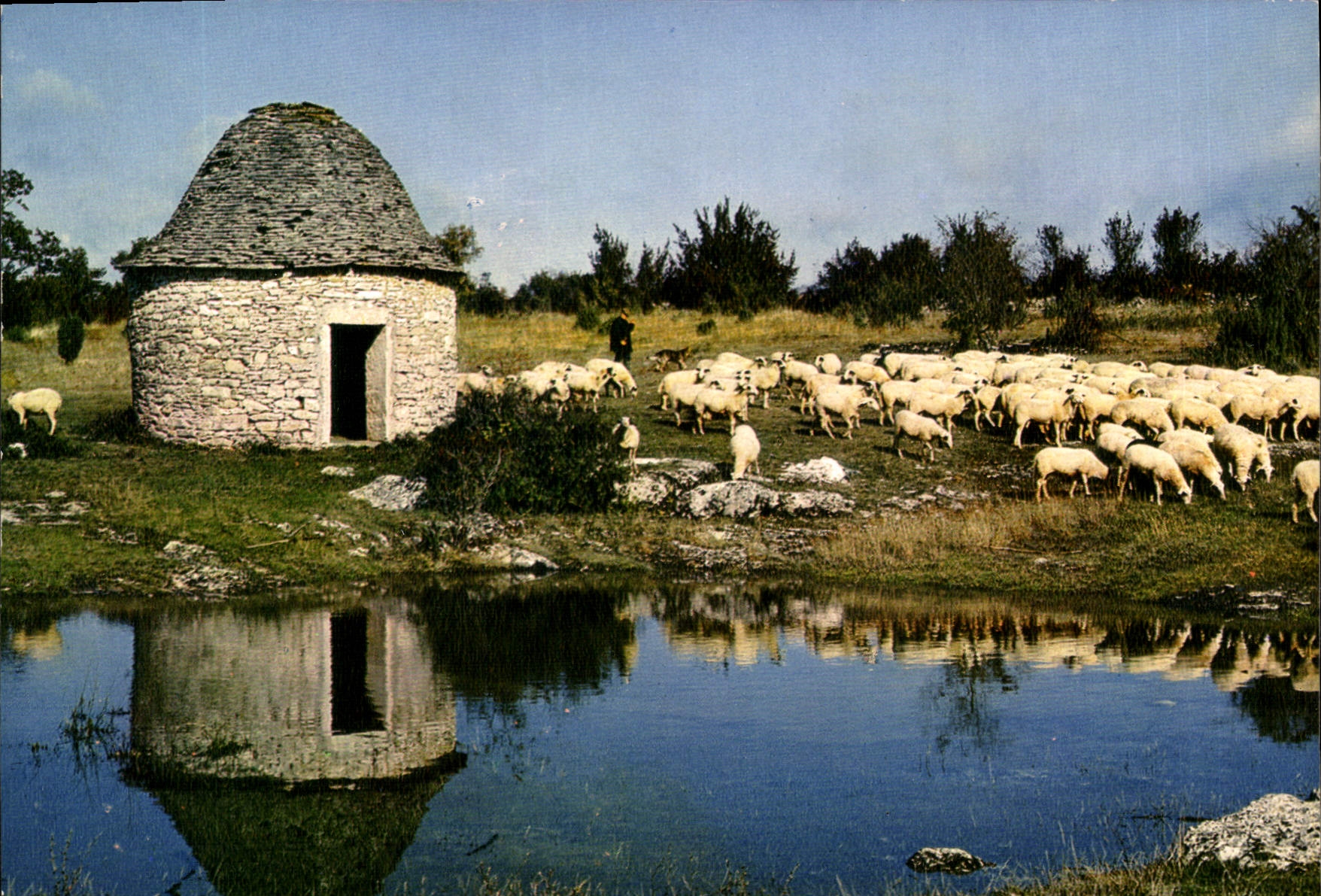 CPM En Quercy Sur le Causse de Gramat Pres d'Une caselle abri de berger elevage de moutons caussenar