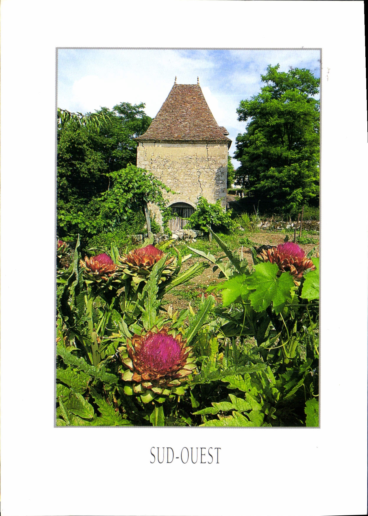 CPM Visage du Sud Ouest 