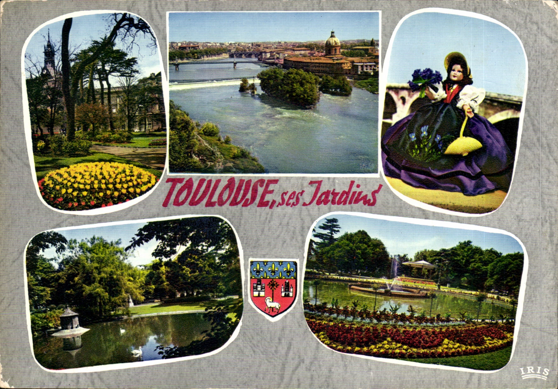 CPM Toulouse Ville d'Art Cite des Violettes Ses Jardins 