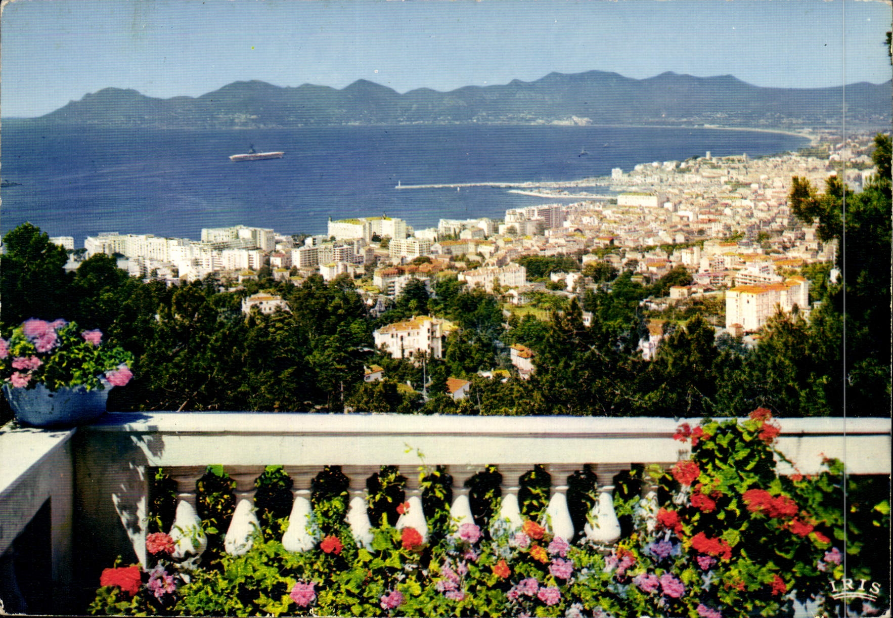 CPM Cannes AM Vue generale 
