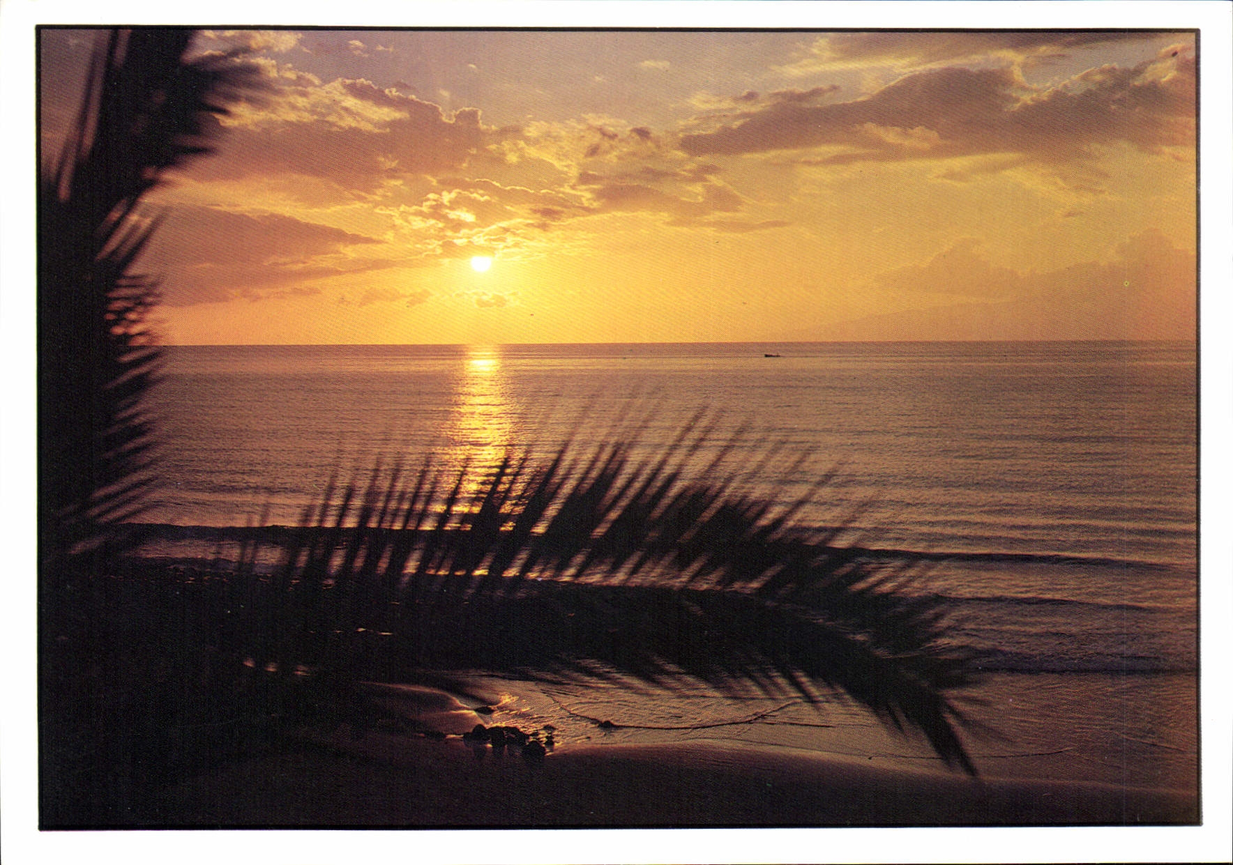 CPM Playas de las Americas Tenerife 