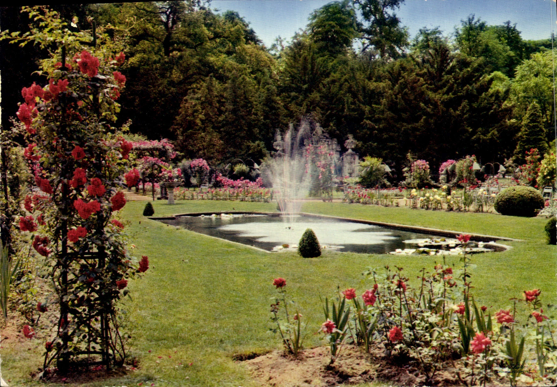CPM Nancy M et M Parc de la Pepiniere 