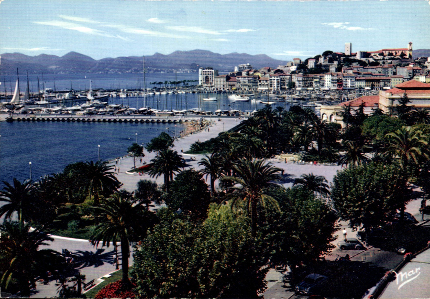 CPM Cannes Le Jardin et le Suquet 