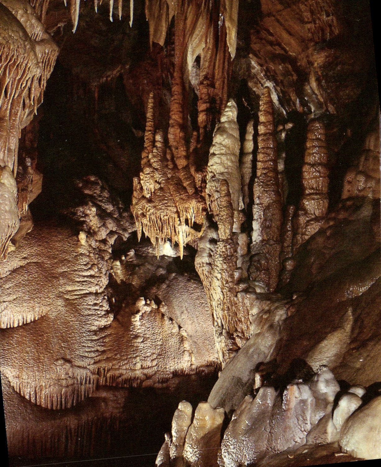 CPM Les Merveilles du monde souterrain Saintponnais la salle des colonnades Grotte de Lauzinas Saint