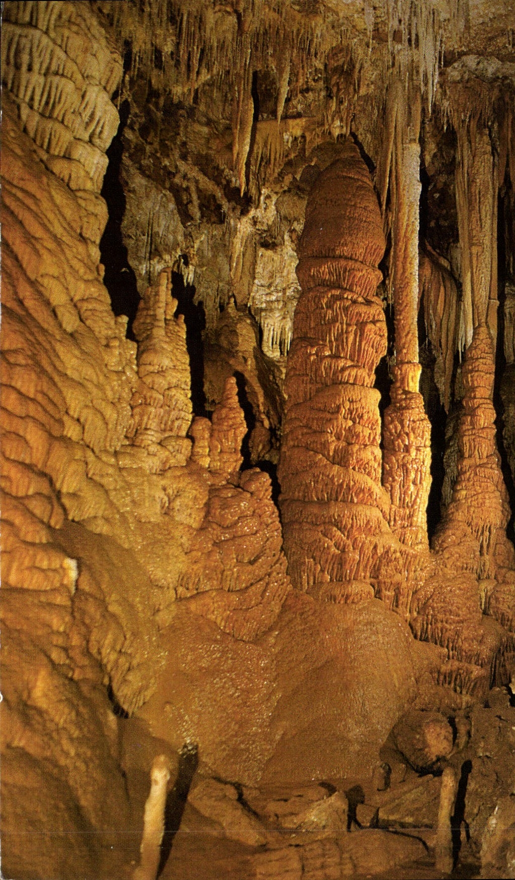 CPM Grotte de Clamouse La Nature faite oeuvre d'Art France Languedoc Mediterranee pres de montpellie