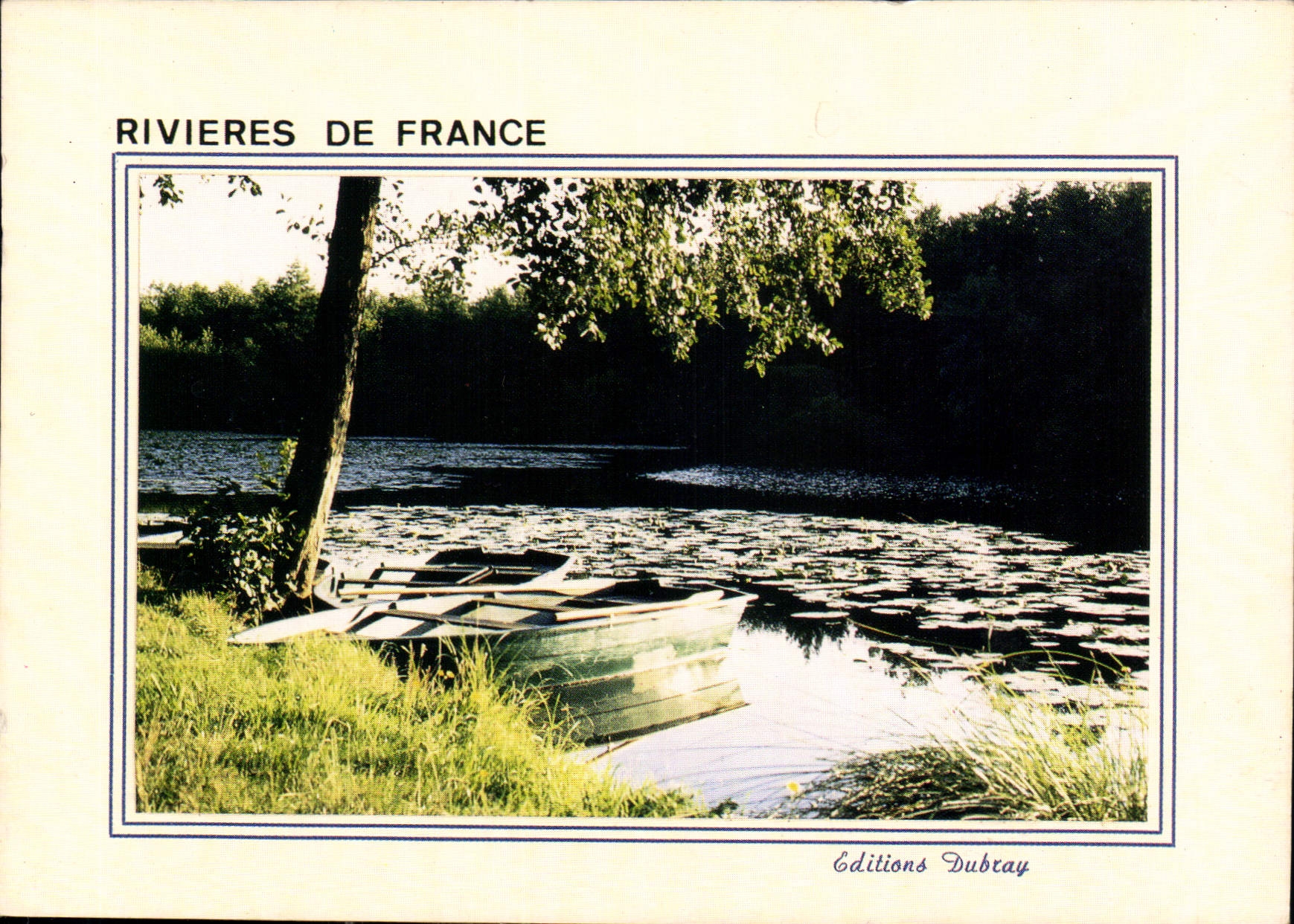 CPM Rivieres de France la foret en vain ses feuillages plus lents le soleil a travers les cimes inco