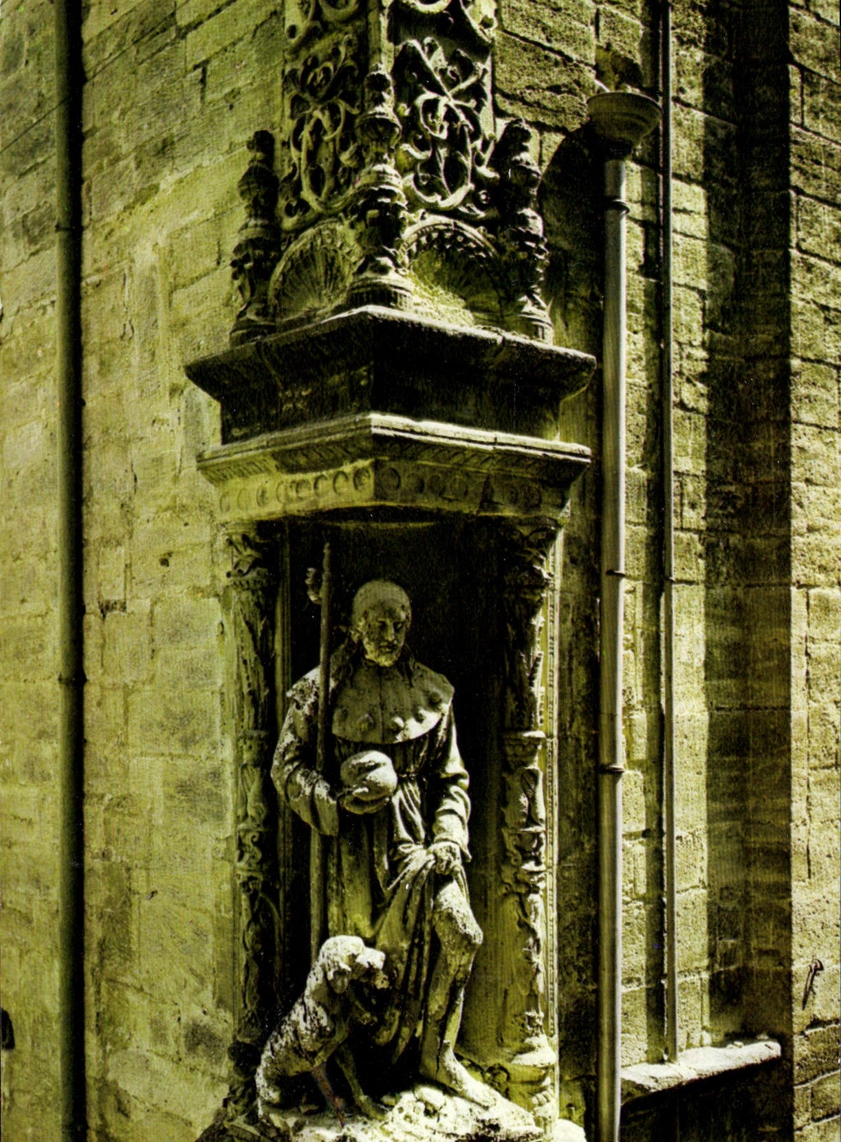 CPM Pezenas Herault Ville d'Art XIV XV XVI siecles Niche St Roch Renaissance Italienne