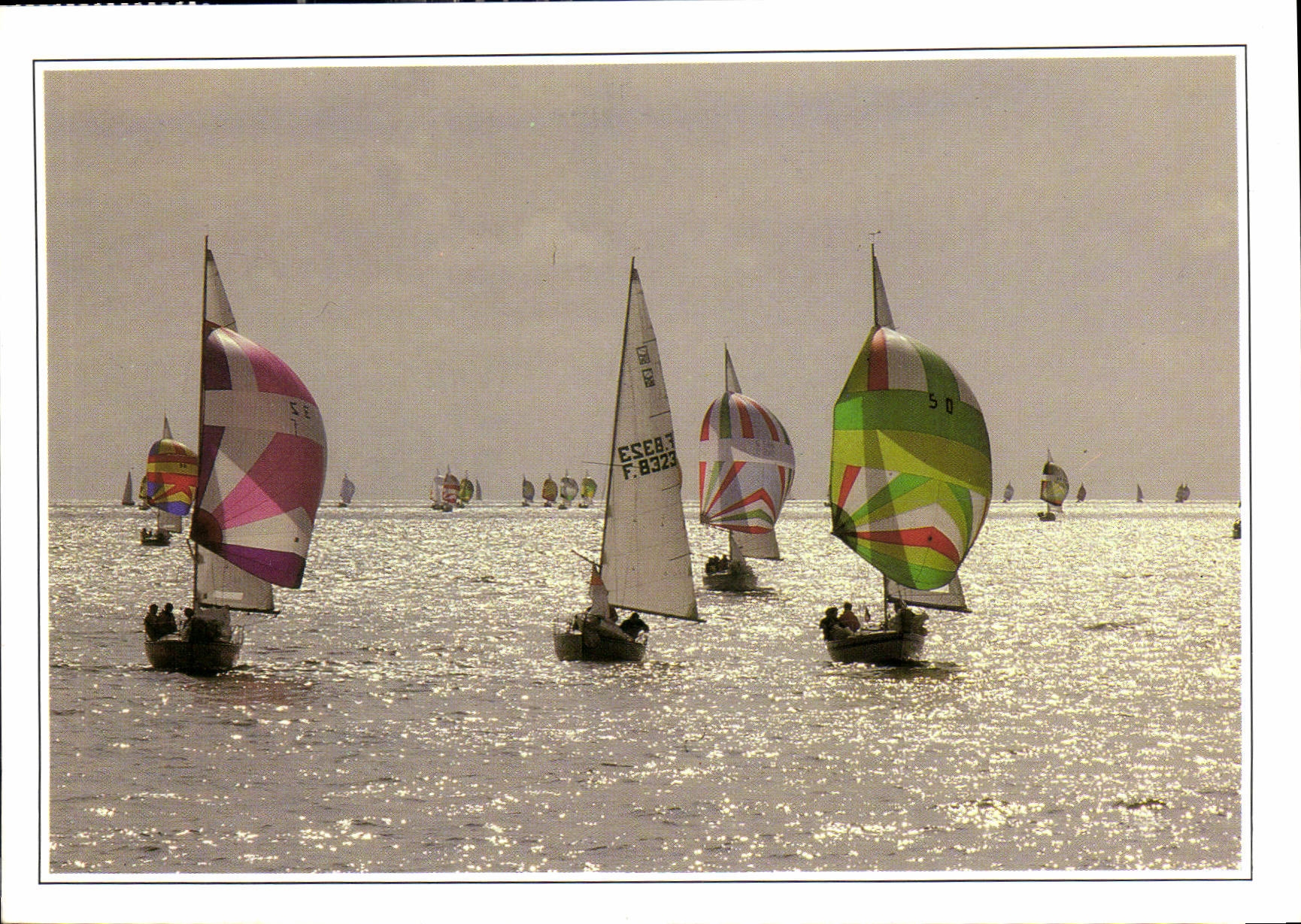 CPM Images de la Mer Arrivee de Regate 