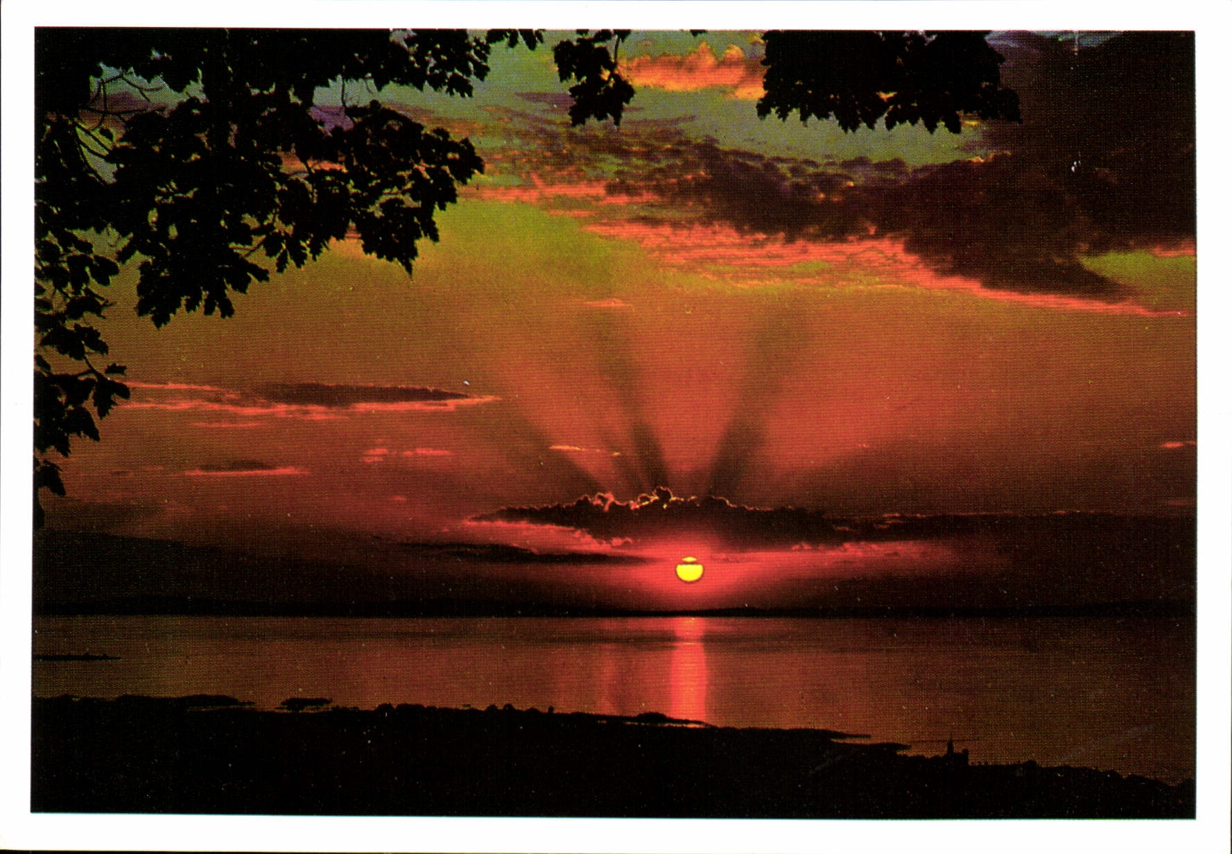 CPM La Mediterranee Coucher de Soleil 