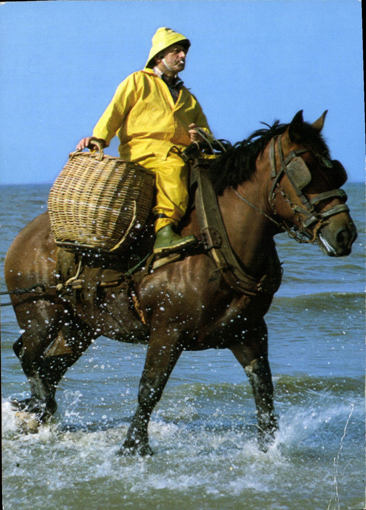 CPM Garnaalviseer te Paard Pecheur de crevettes a cheval