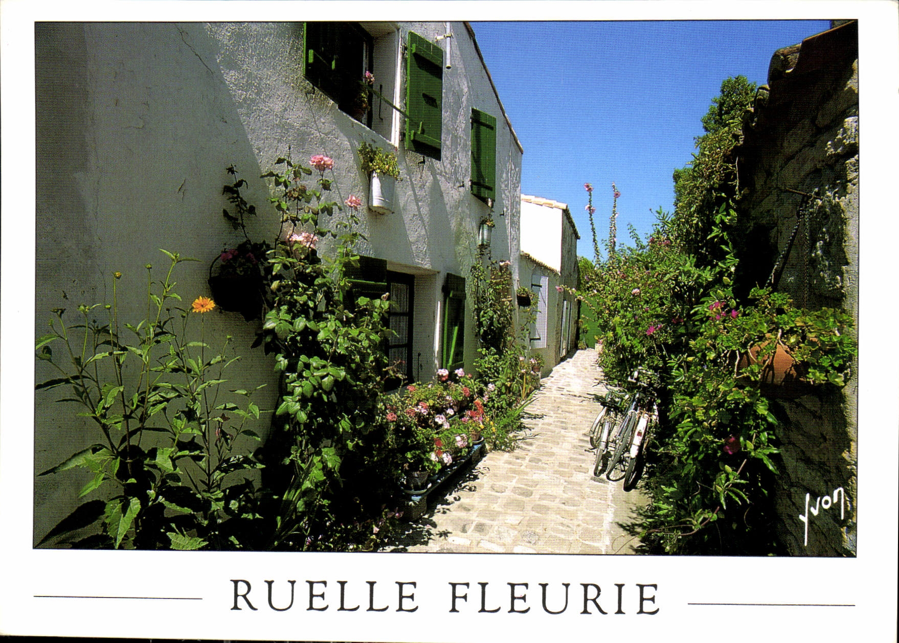 CPM Couleurs et Lumiere de France Ruelle Fleurie