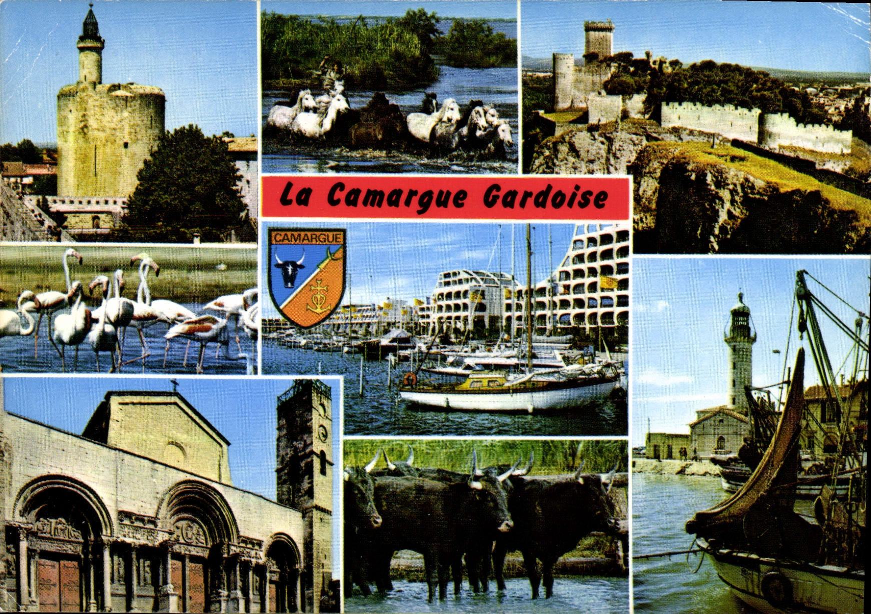CPM La Camargue Gardoise Aigues Mortes Beaucaire Port Camargue Saint Gilles Grau du Roi 